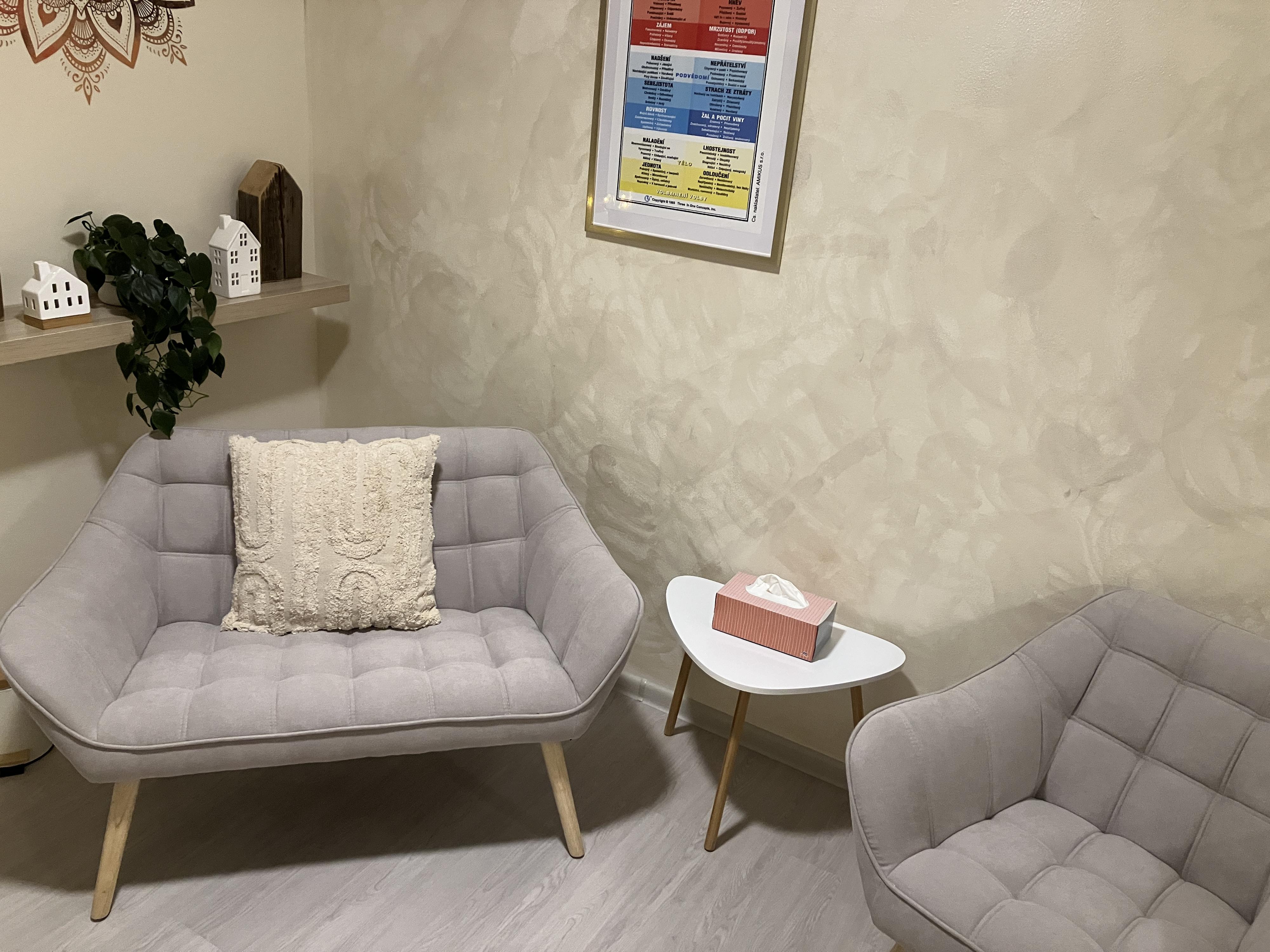 Ing. Michaela Karkošková - Kineziologie a Bachovy esence foto 2