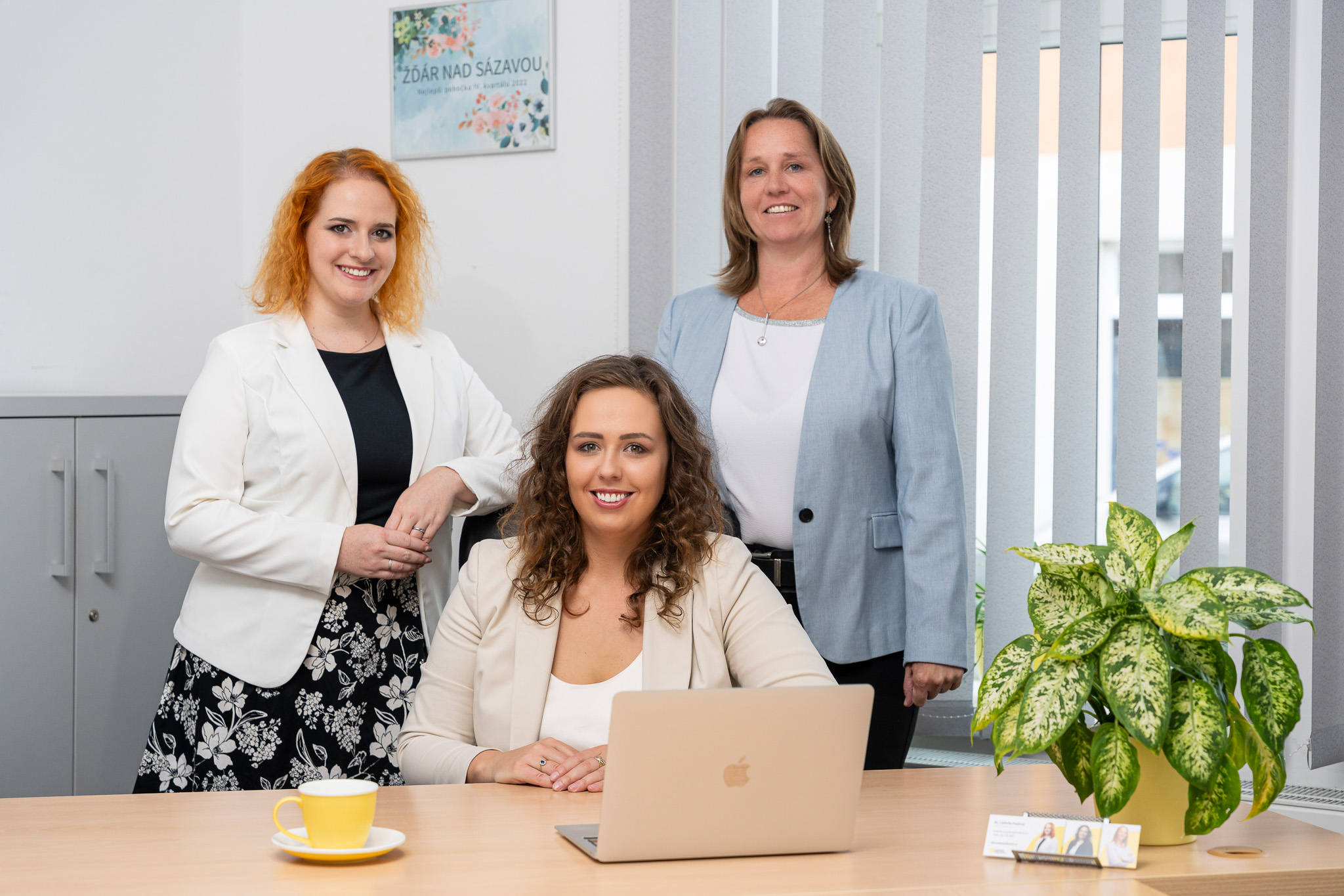 OKNO NEMOVITOSTÍ foto 3