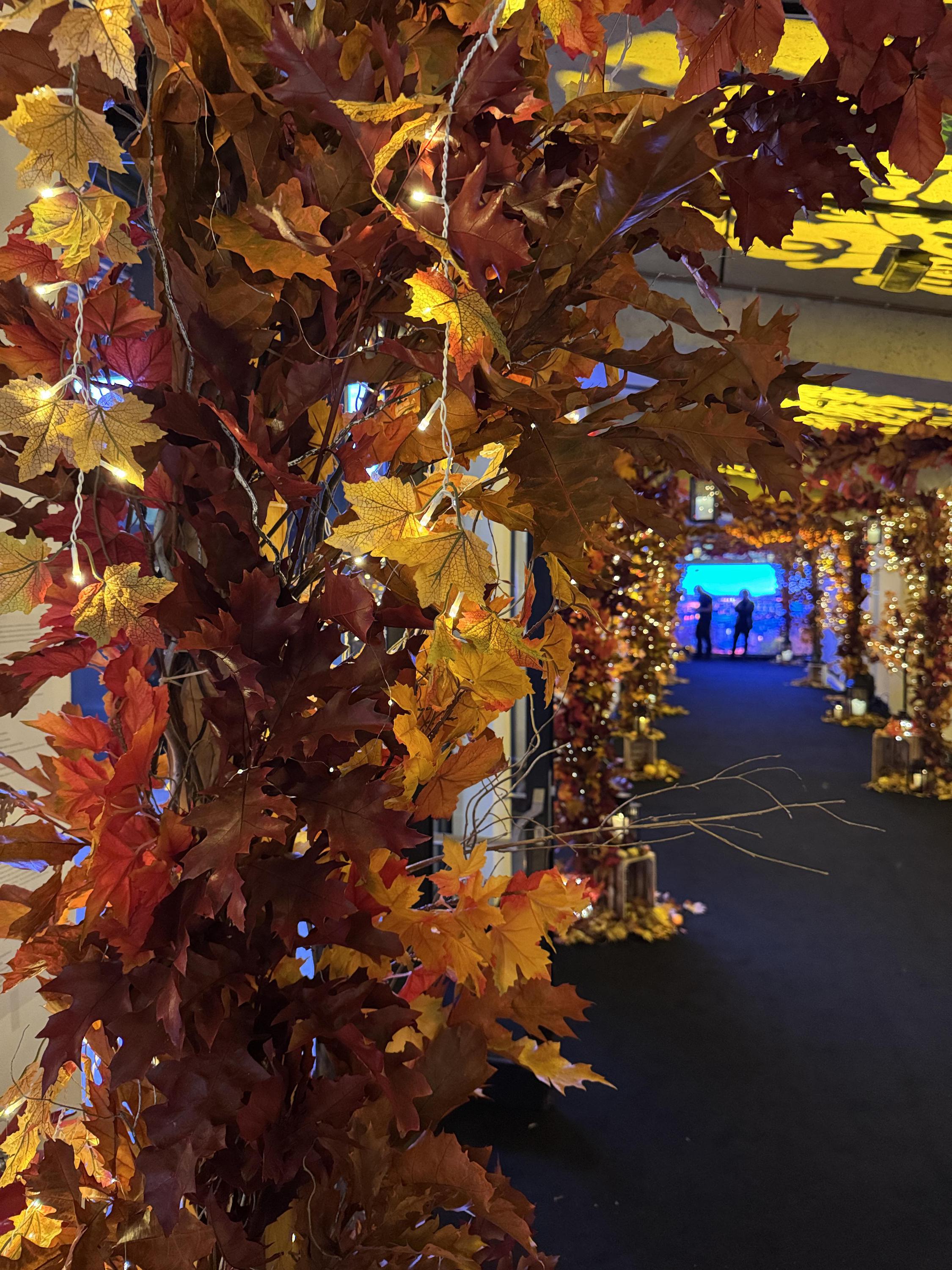 Event Decor Prague foto 4
