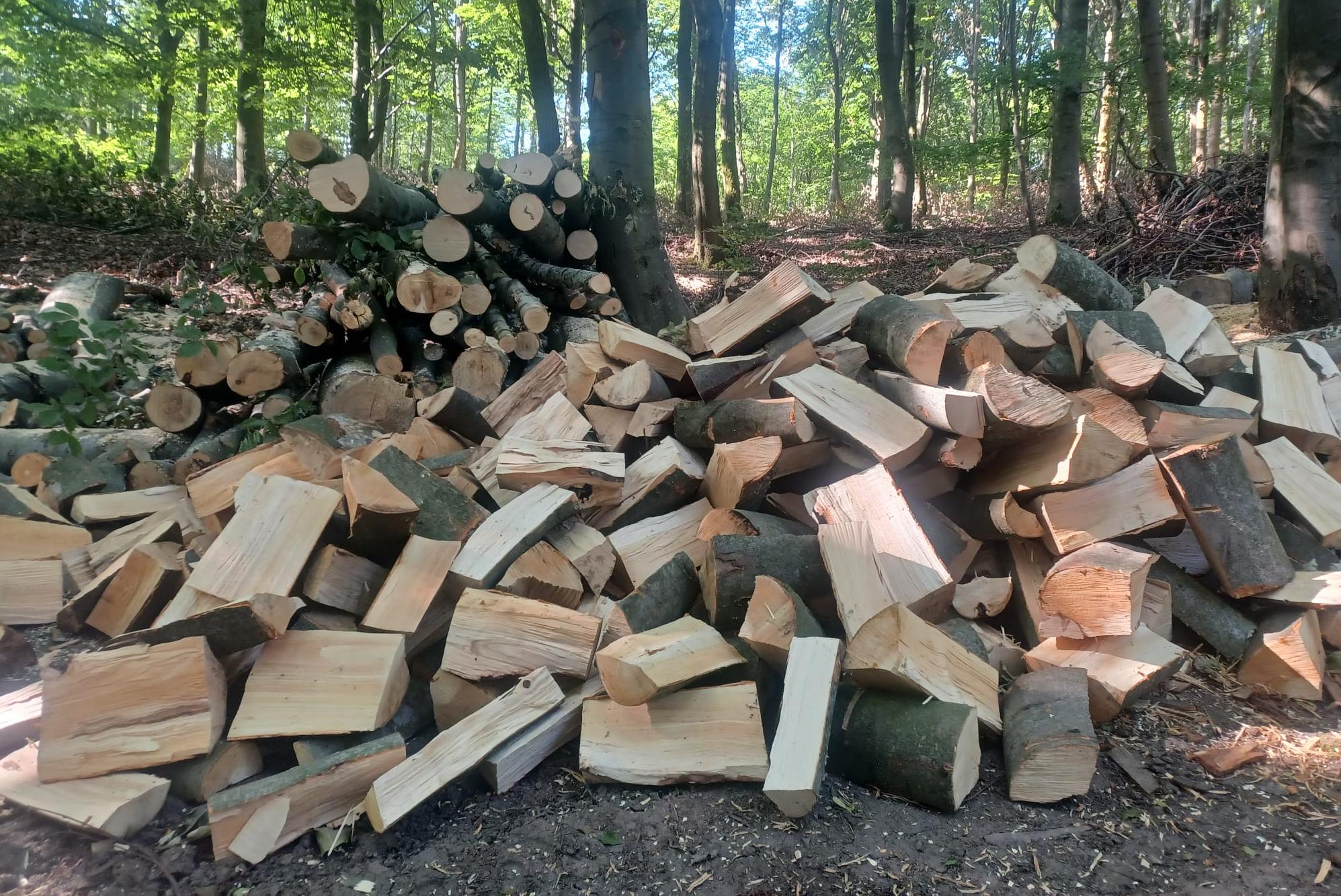 Palivové dřevo Litvínov