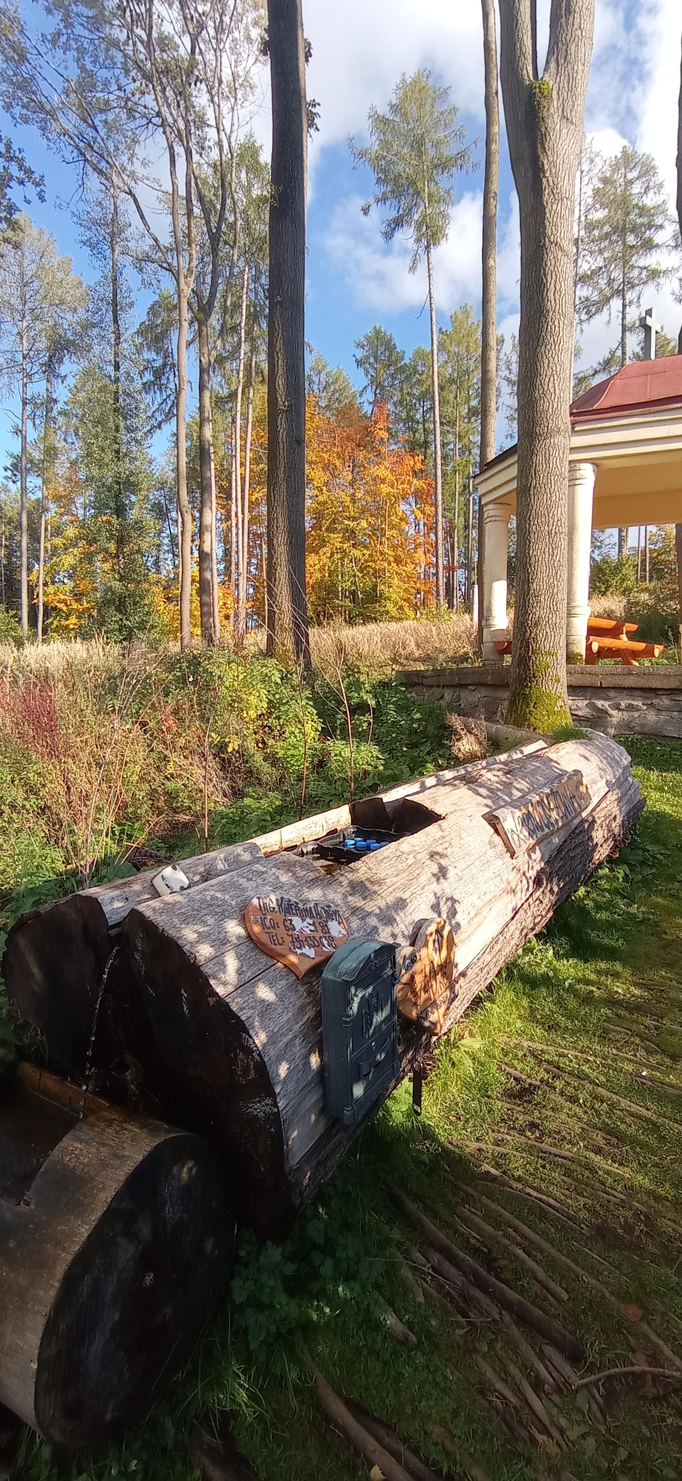 Lesní Osvěžovna foto 4