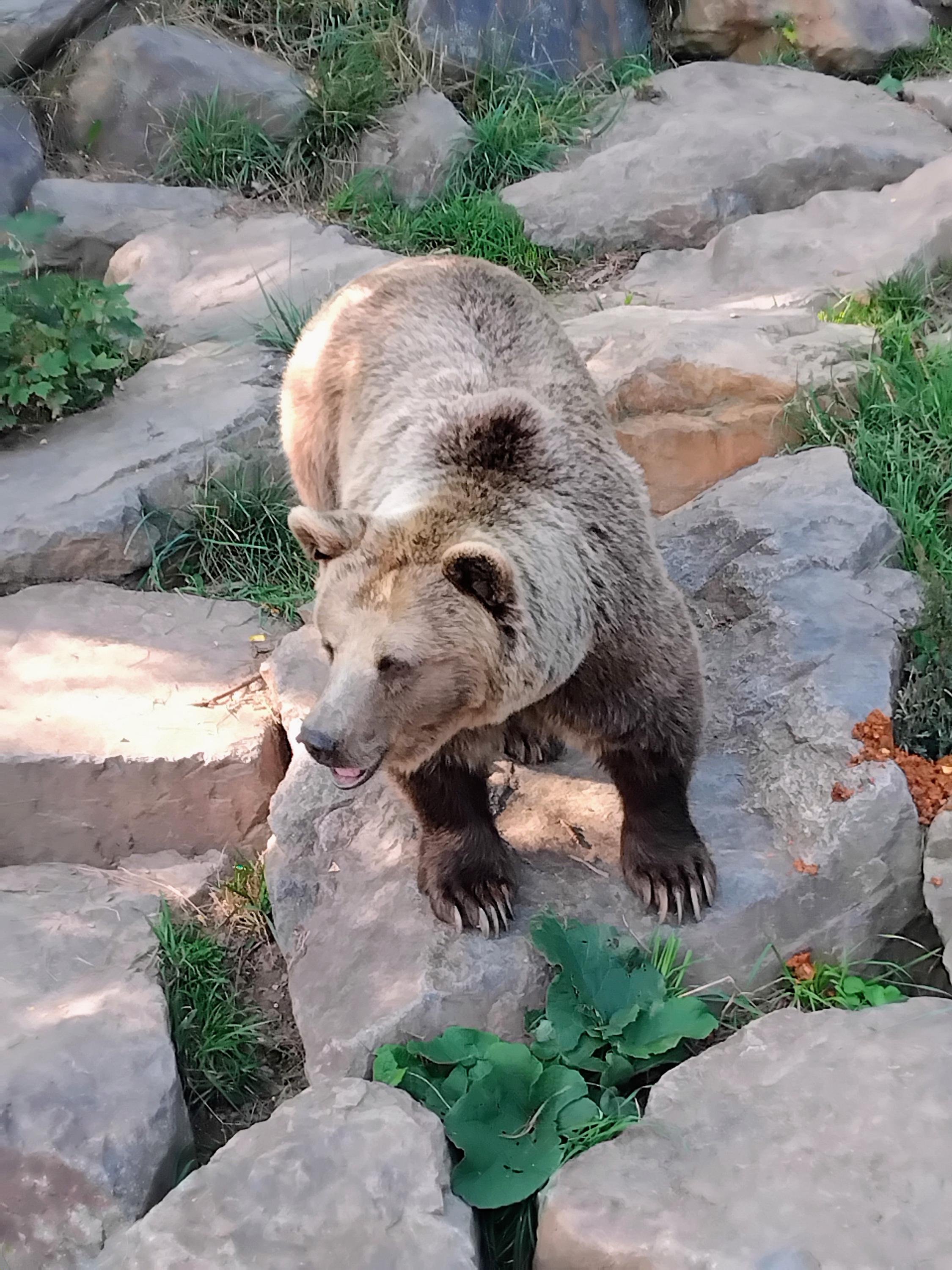 Zoo Plzeň foto 3