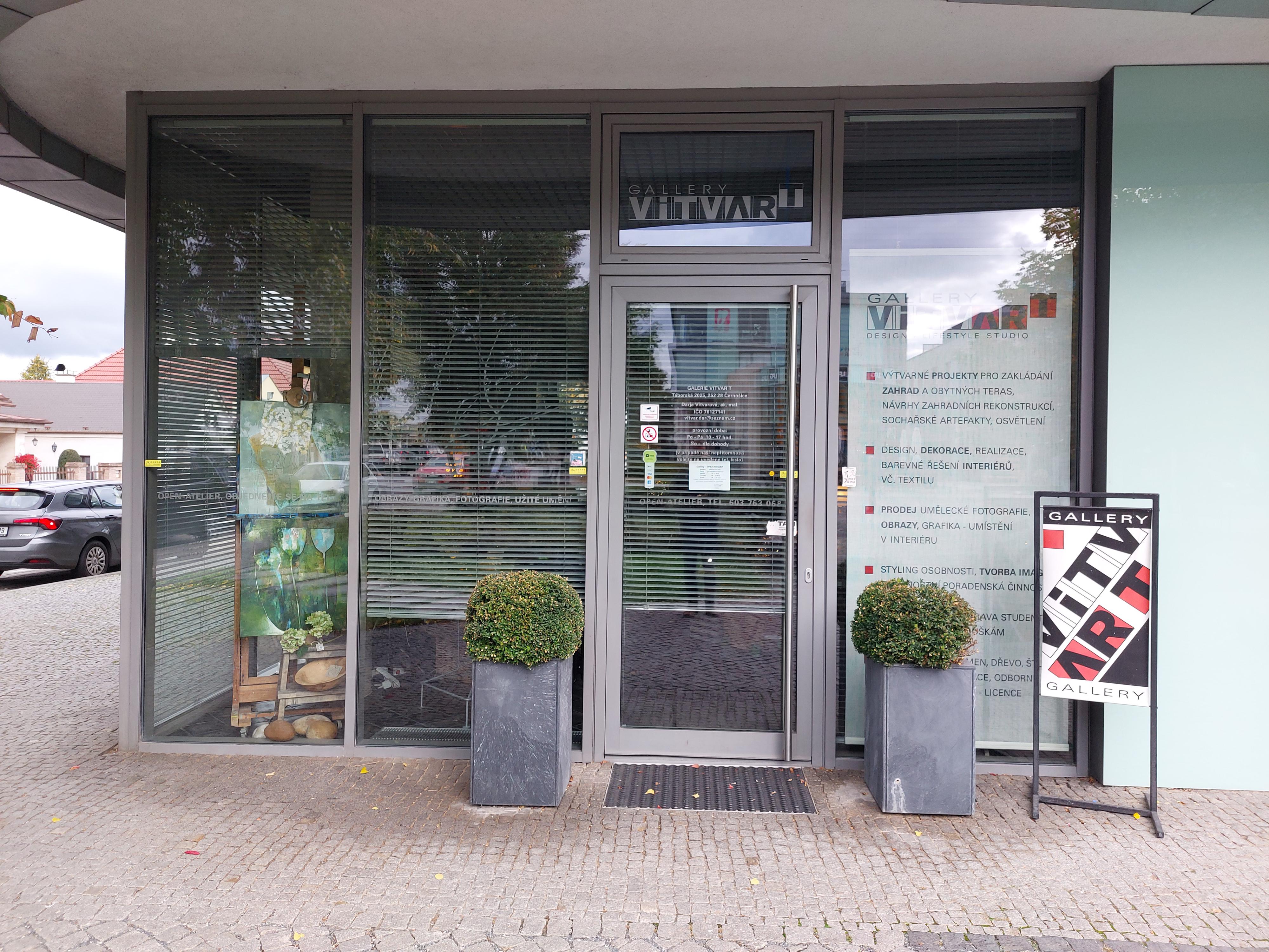 Ak. mal. Darja Vitvarová