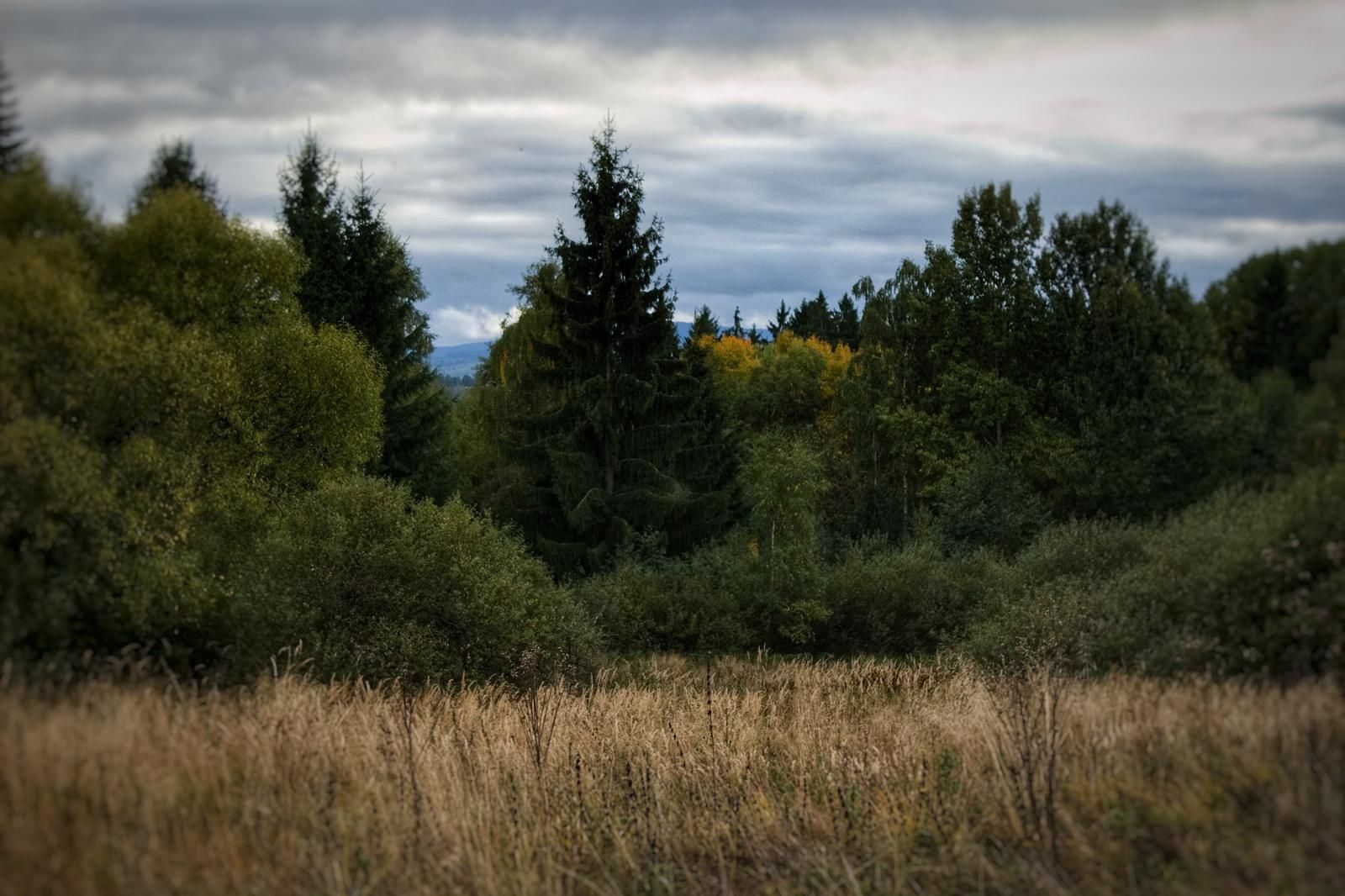 Lost Creek Ranch foto 3