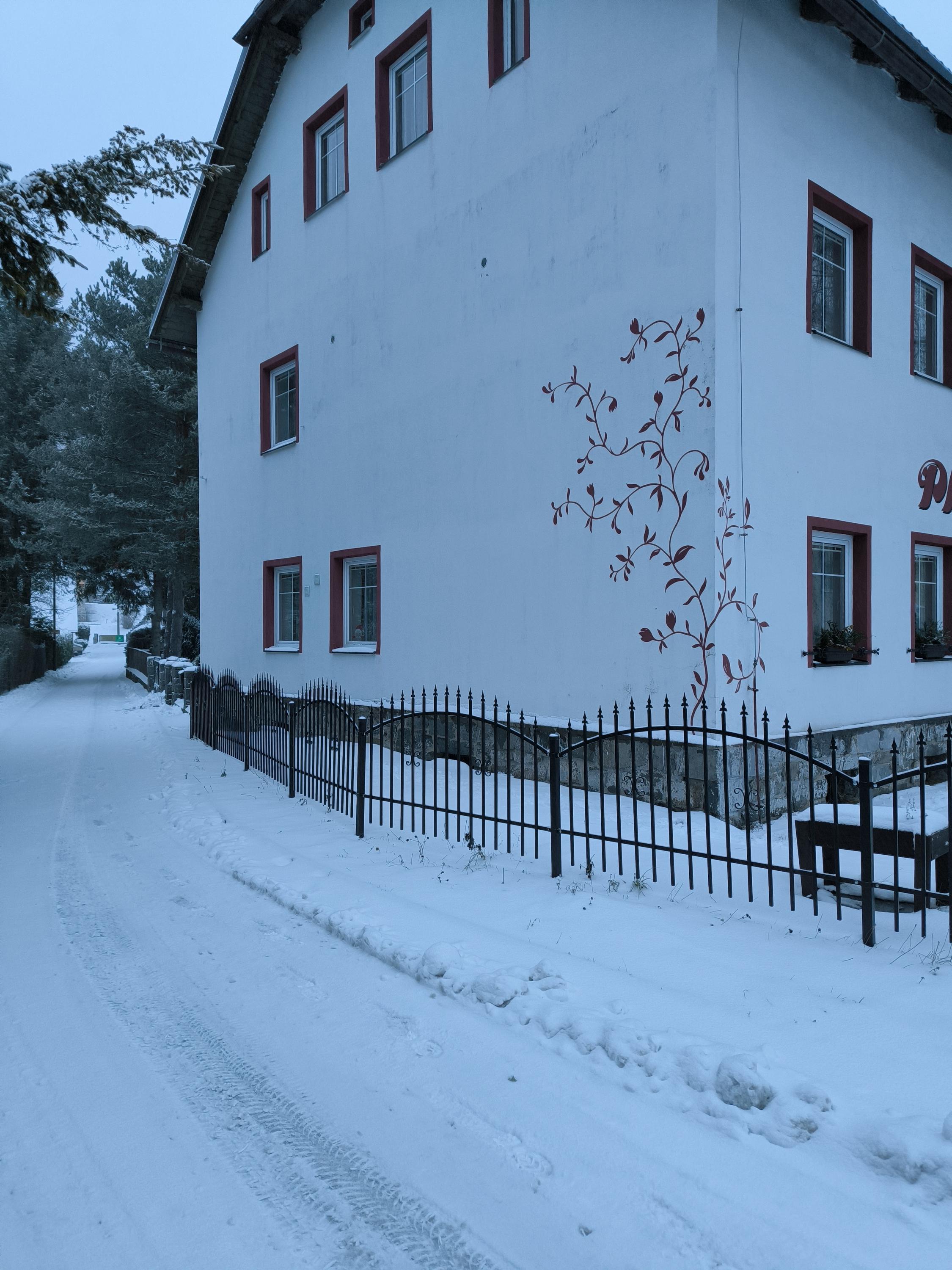 Villa Plischke foto 2