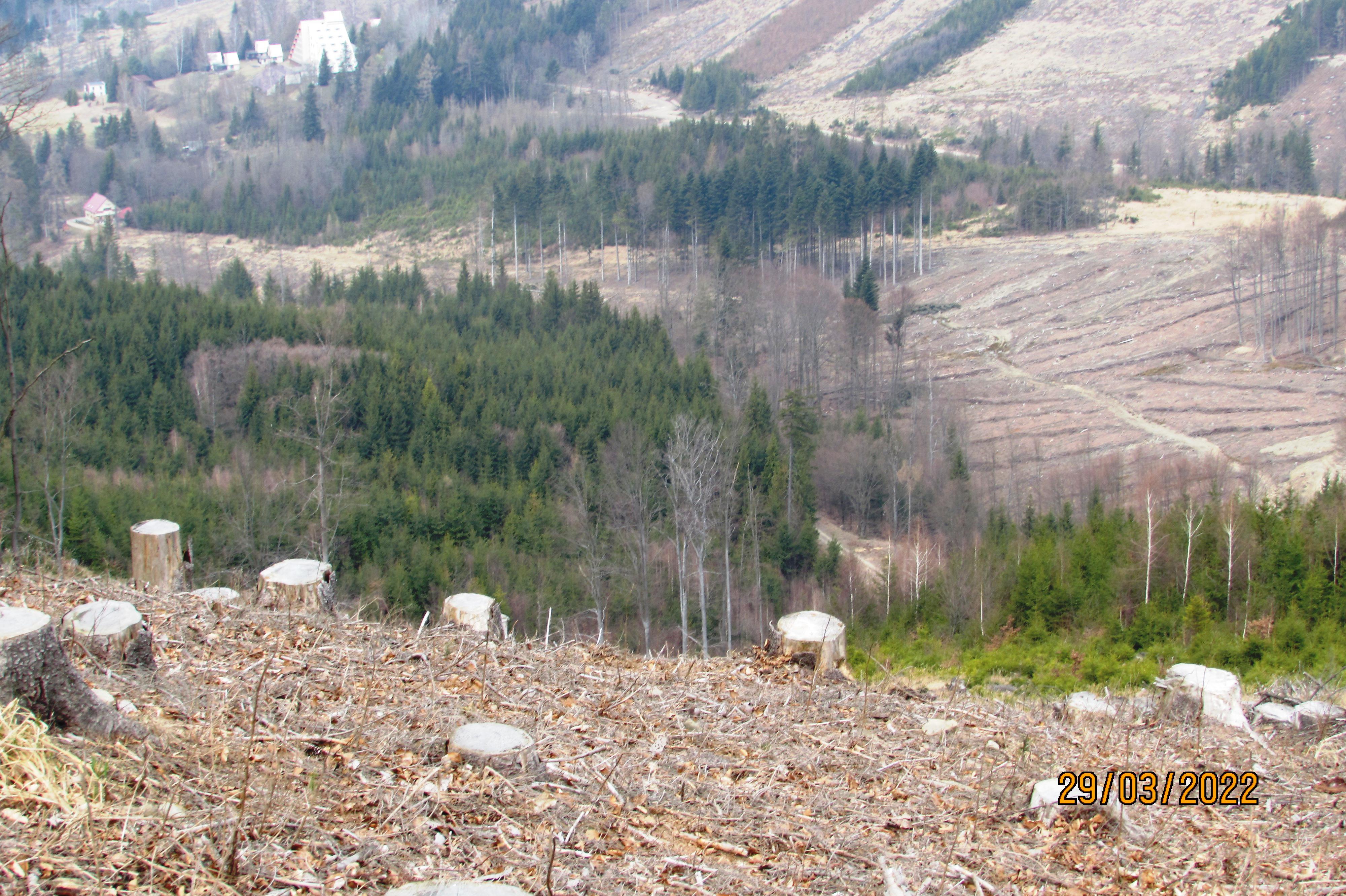 Chata Hanička foto 5
