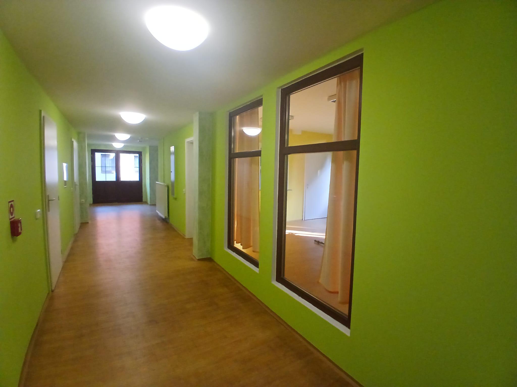 Malířské práce Ladislav David