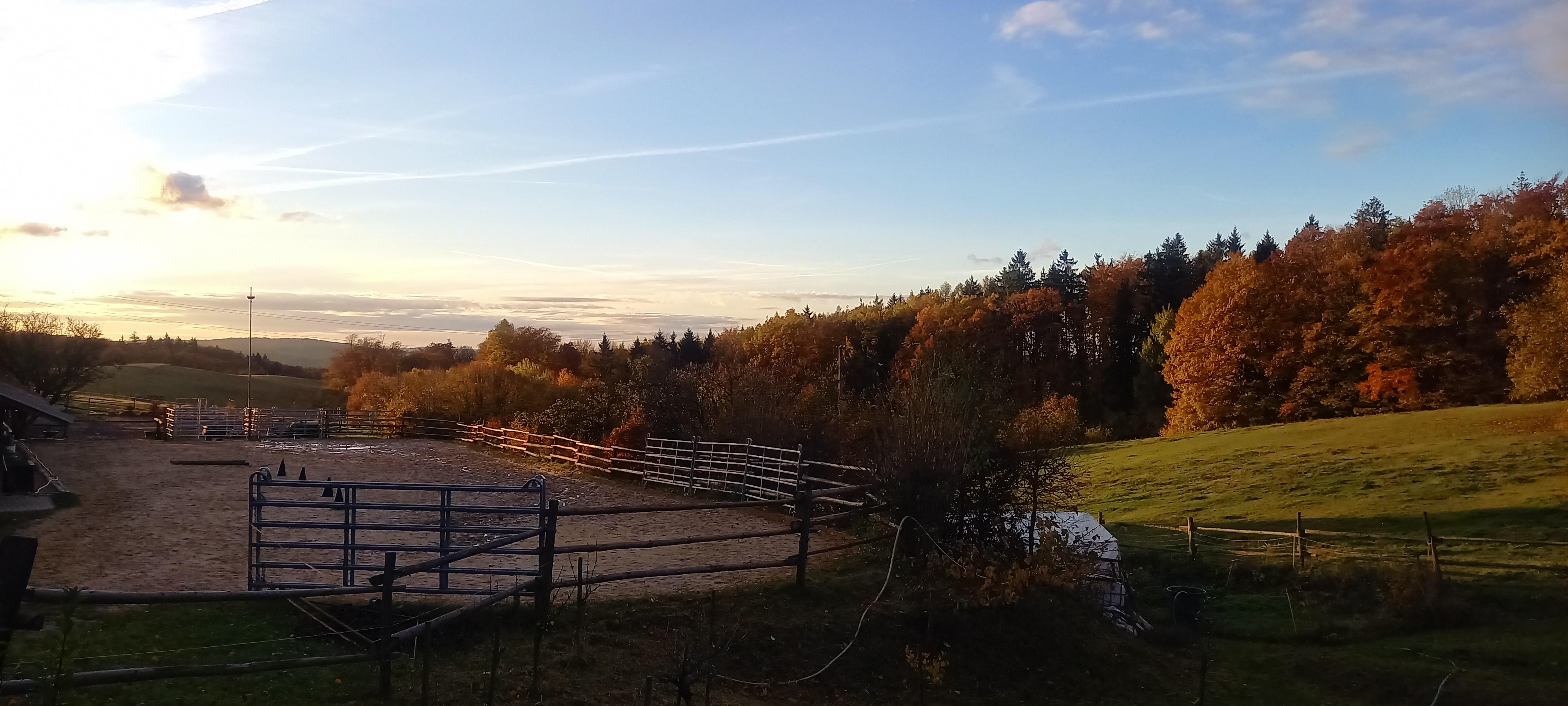 Penzion U Strakatého koně foto 6