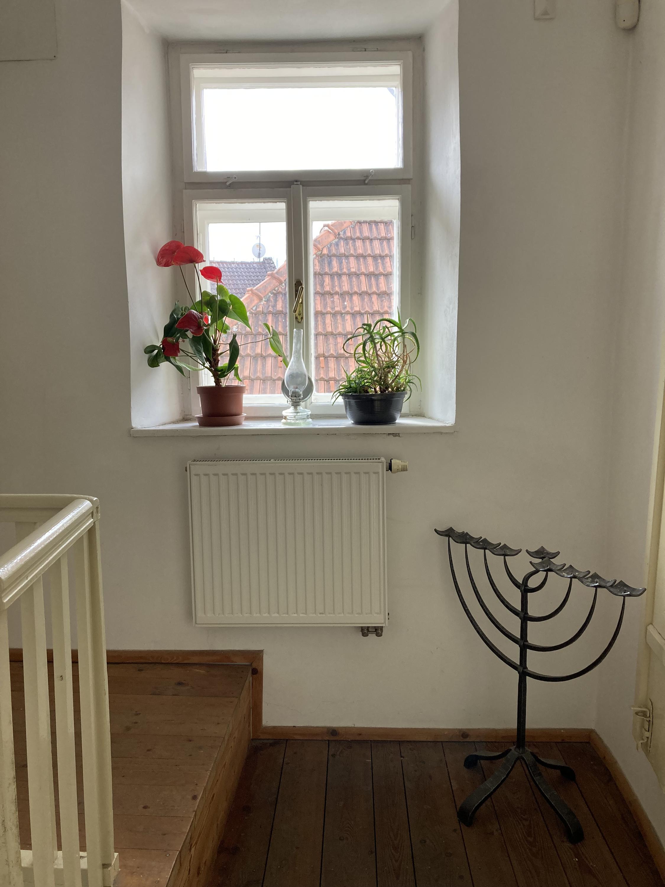 Dům Seligmanna Bauera foto 6
