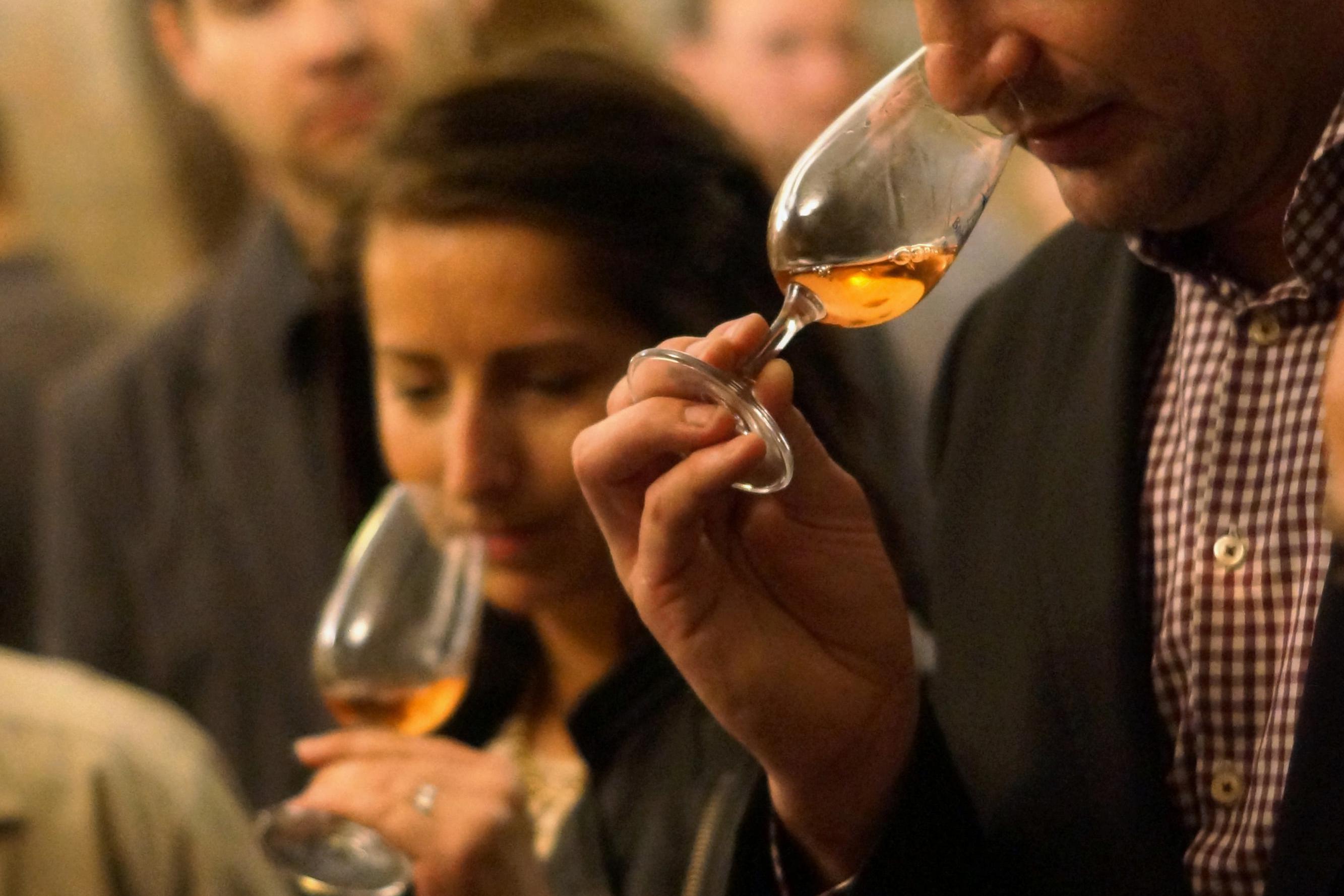 Tradiční košt vín + Burgery