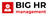 logo Big HR management