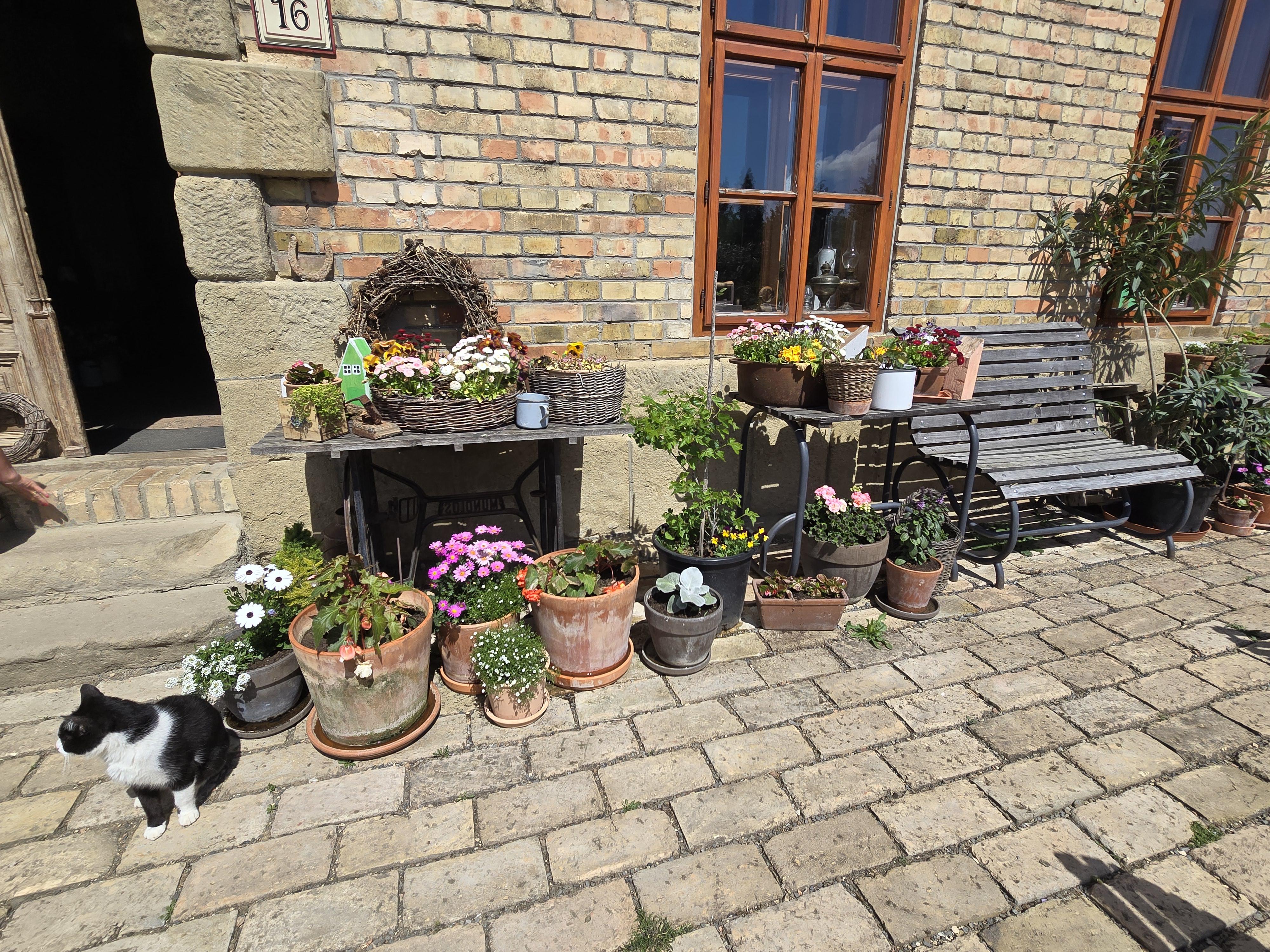 Rekreační areál Dvůr Honětice foto 6