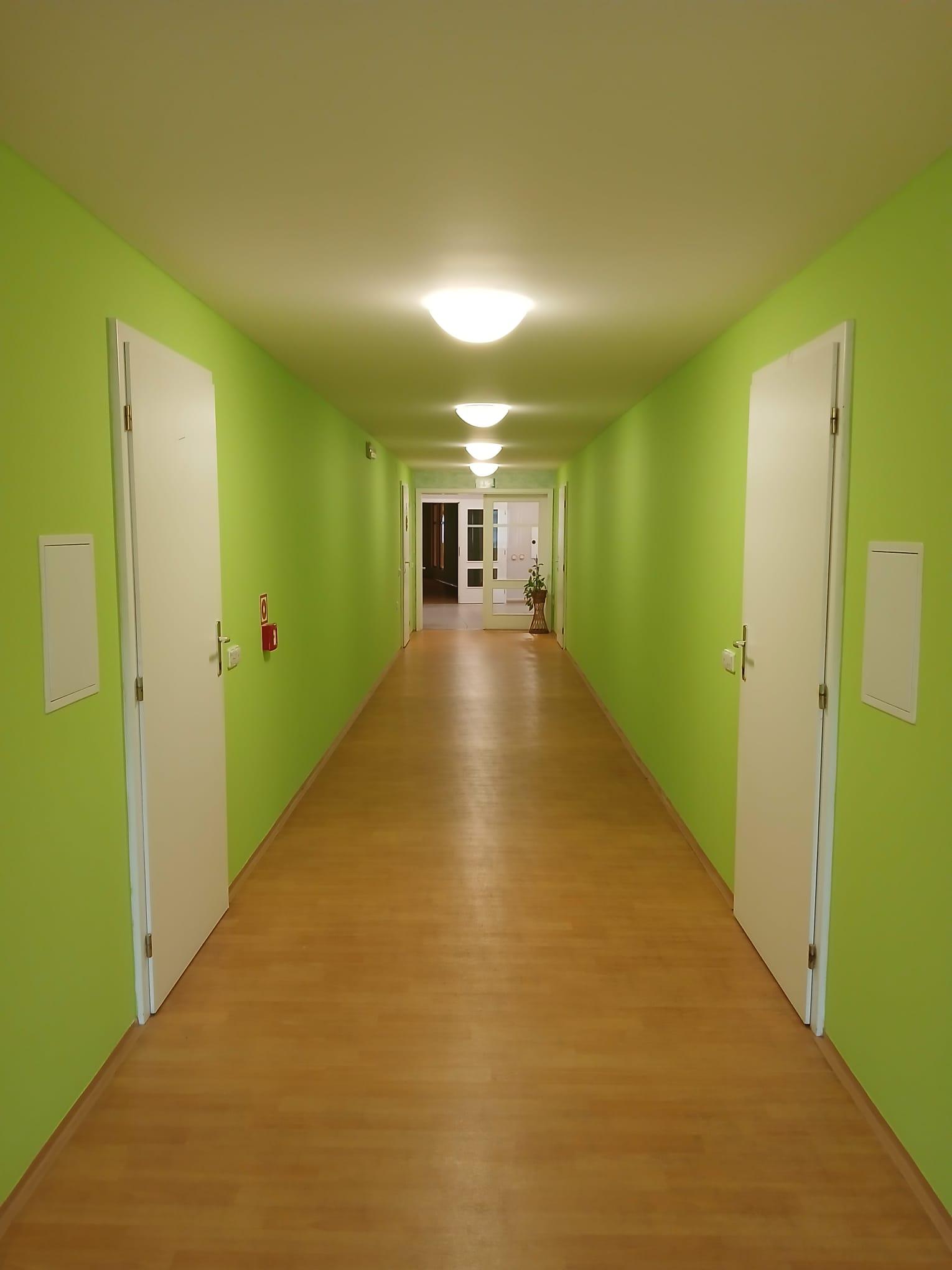 Malířské práce Ladislav David foto 3