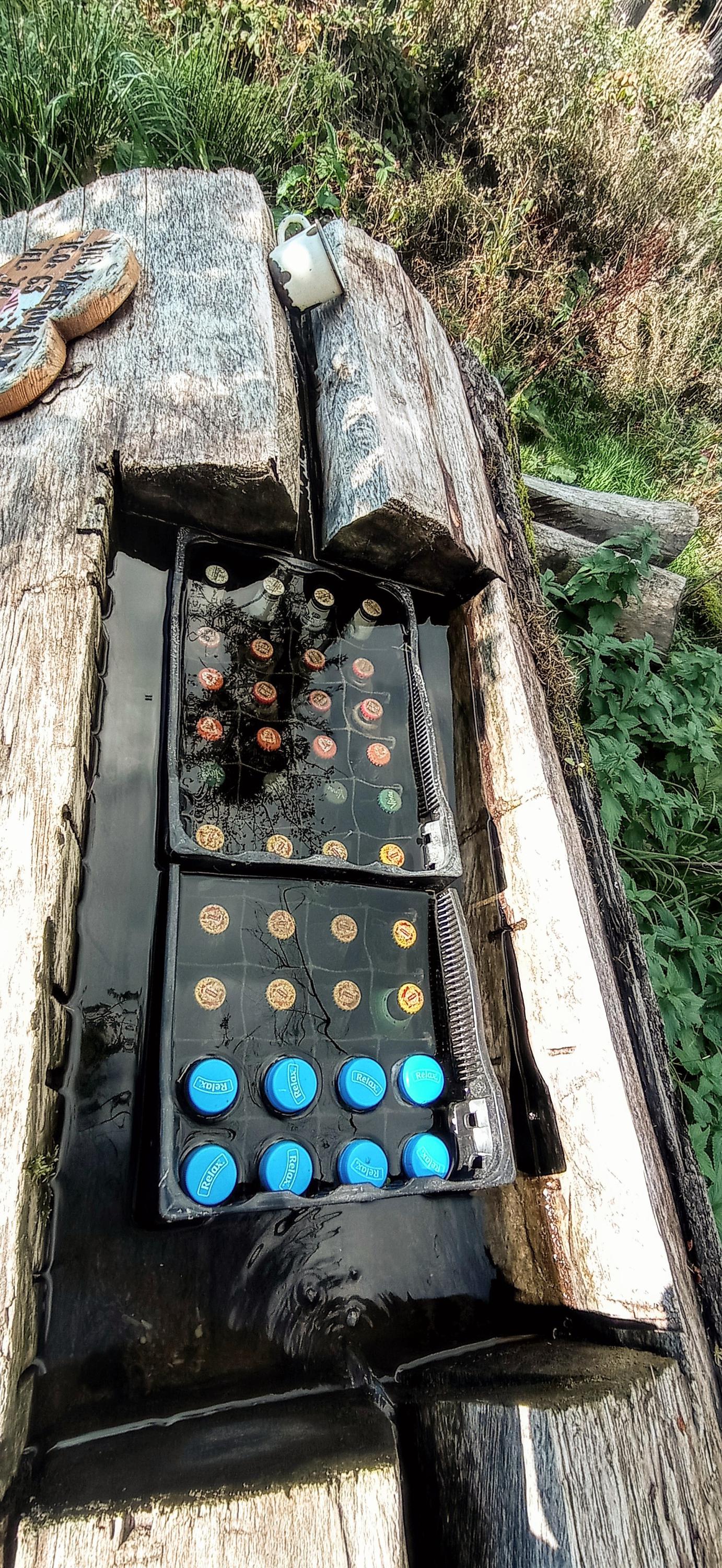 Lesní Osvěžovna foto 3