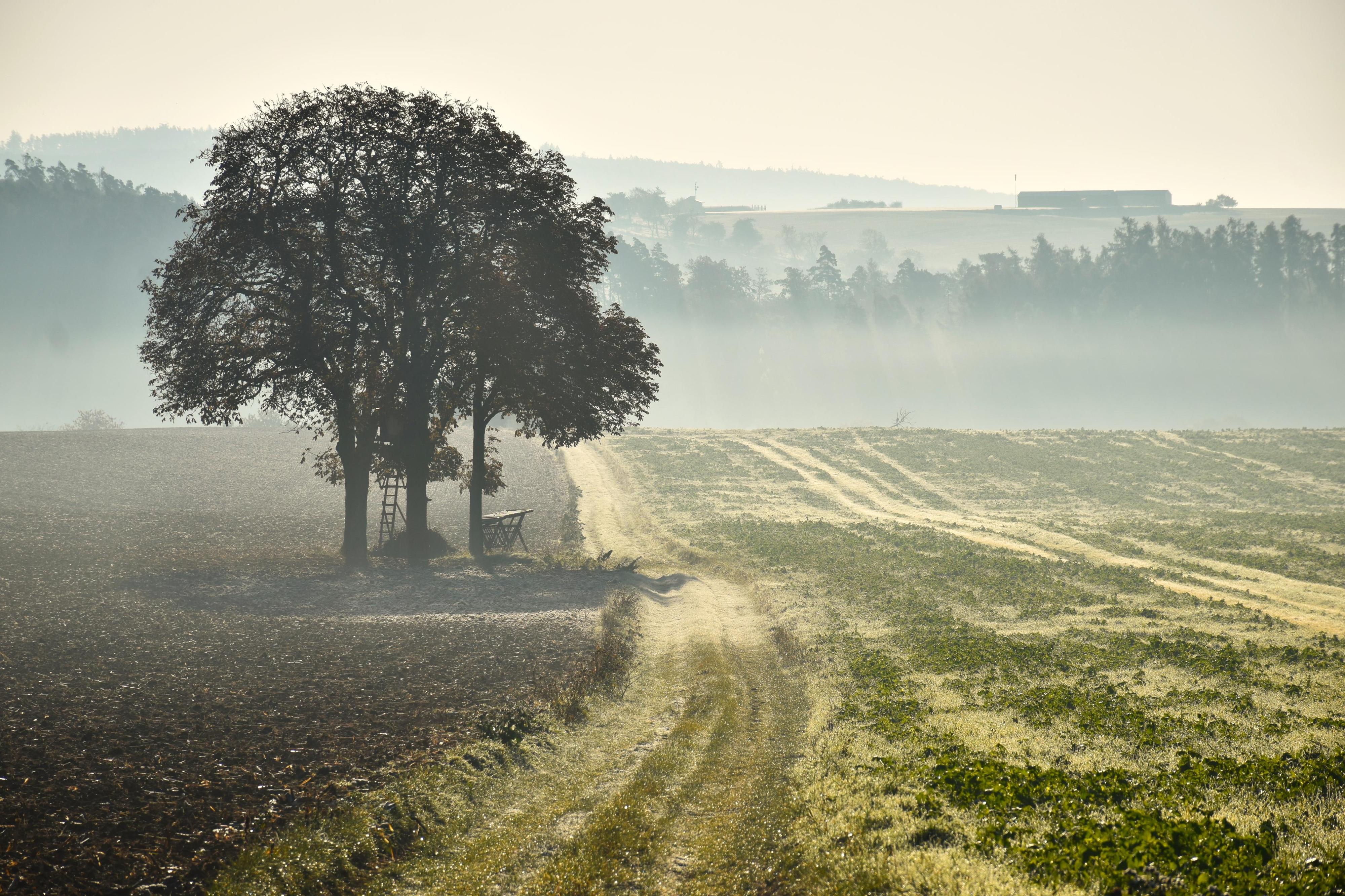 Letiště Pěnčín foto 2