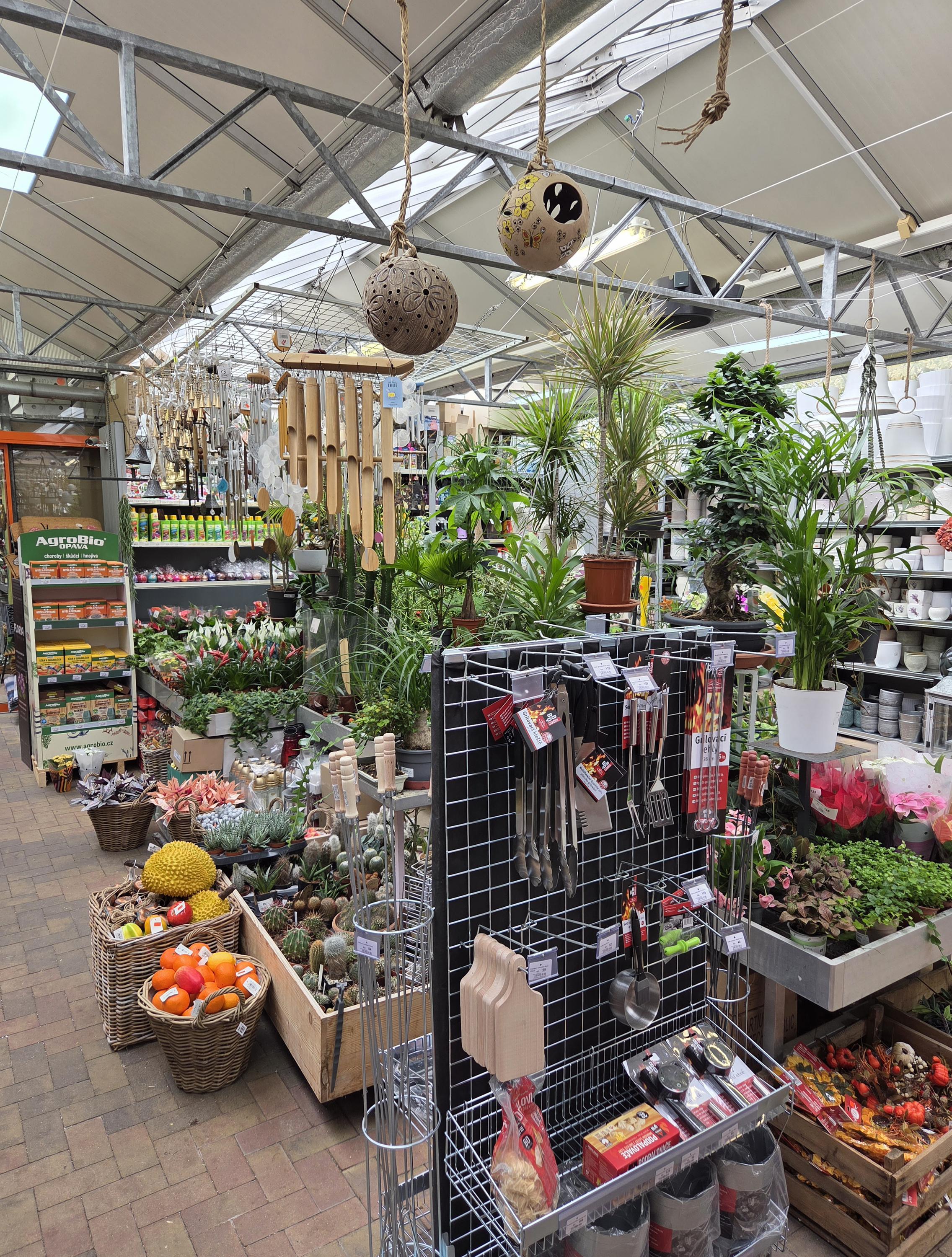 Květiny a zahrada - Dušan Tomášek foto 2