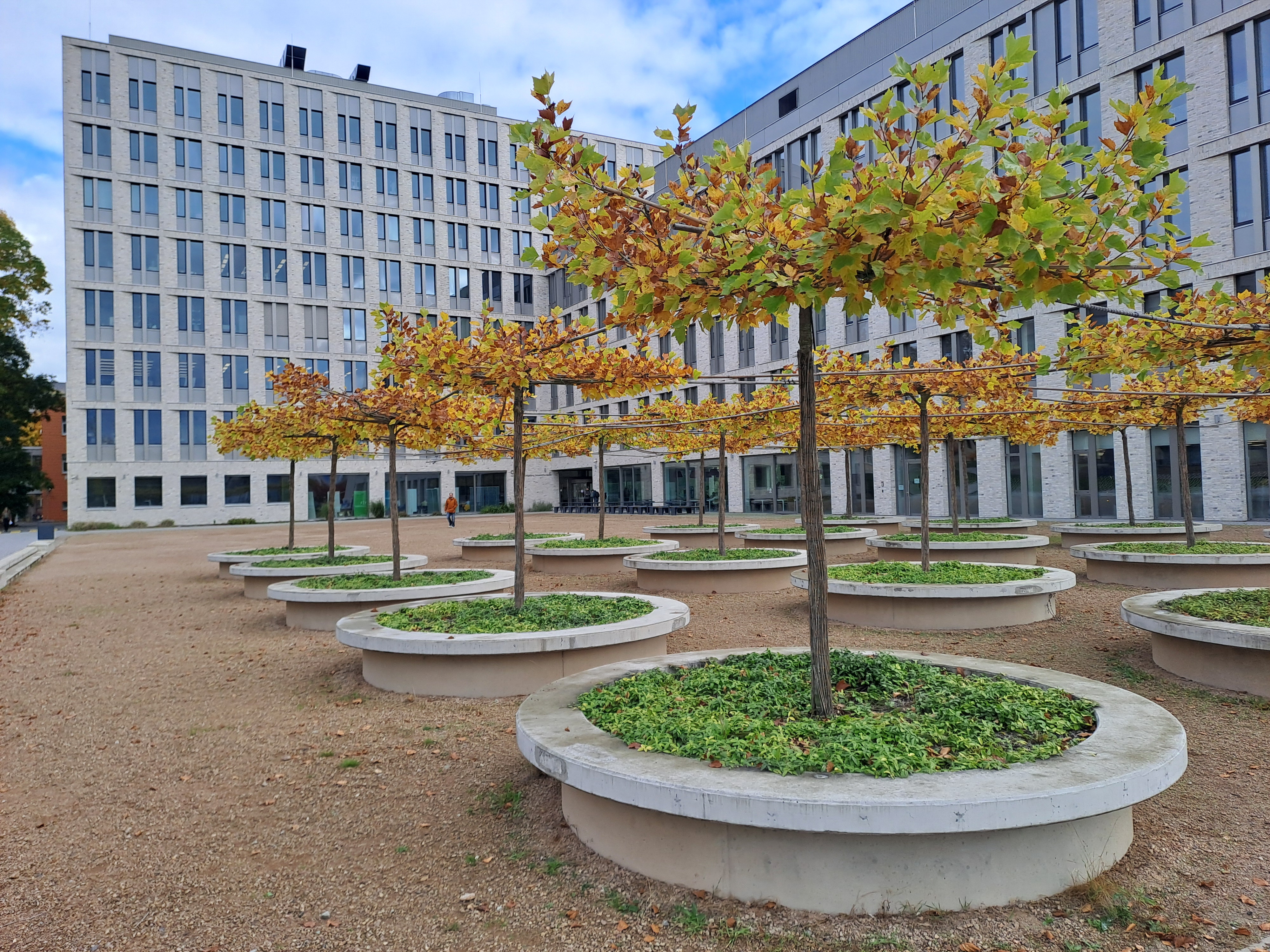 Univerzita Jana Evangelisty Purkyně - Pedagogická fakulta foto 2