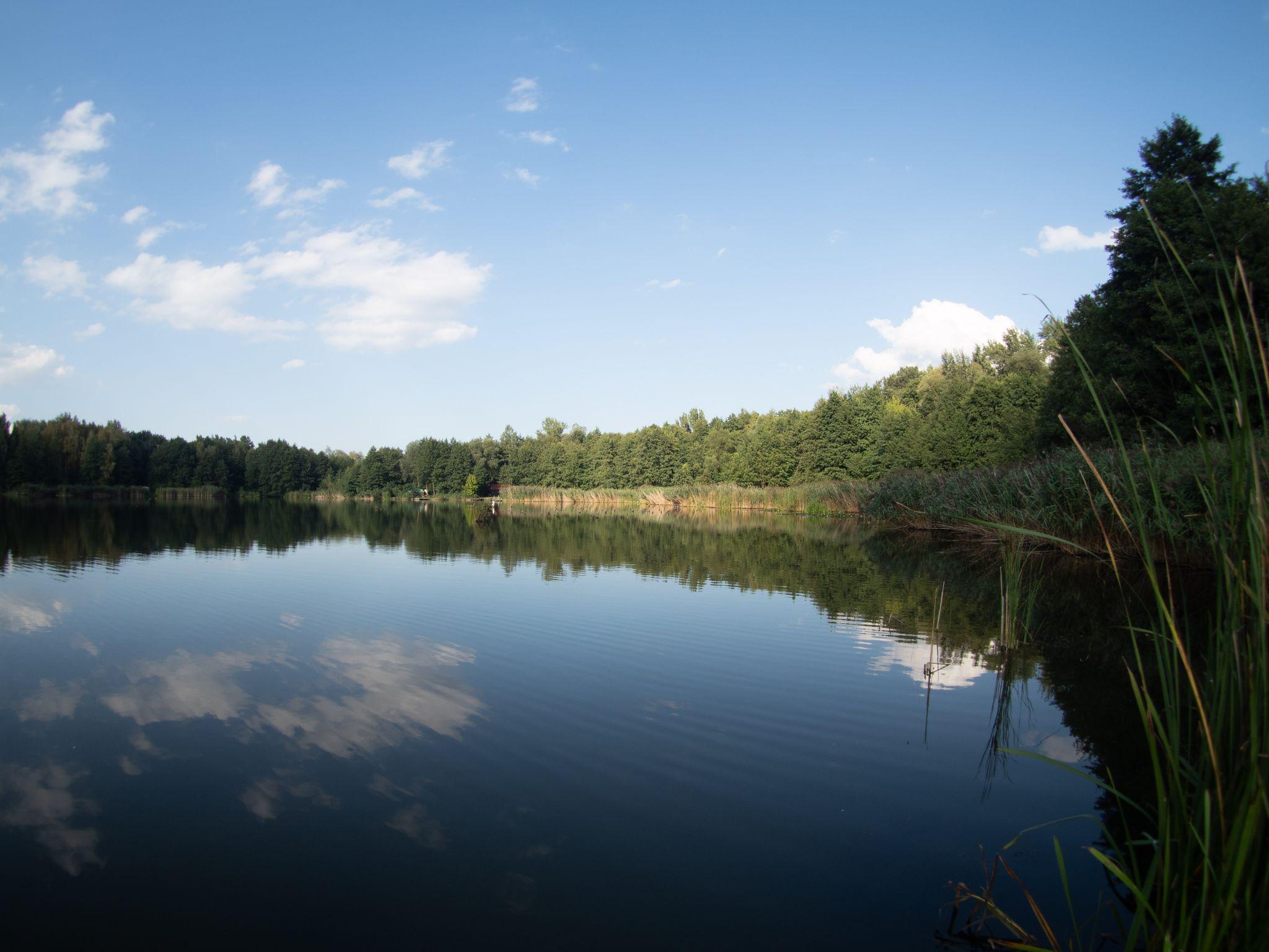 Jezero kapřák foto 6