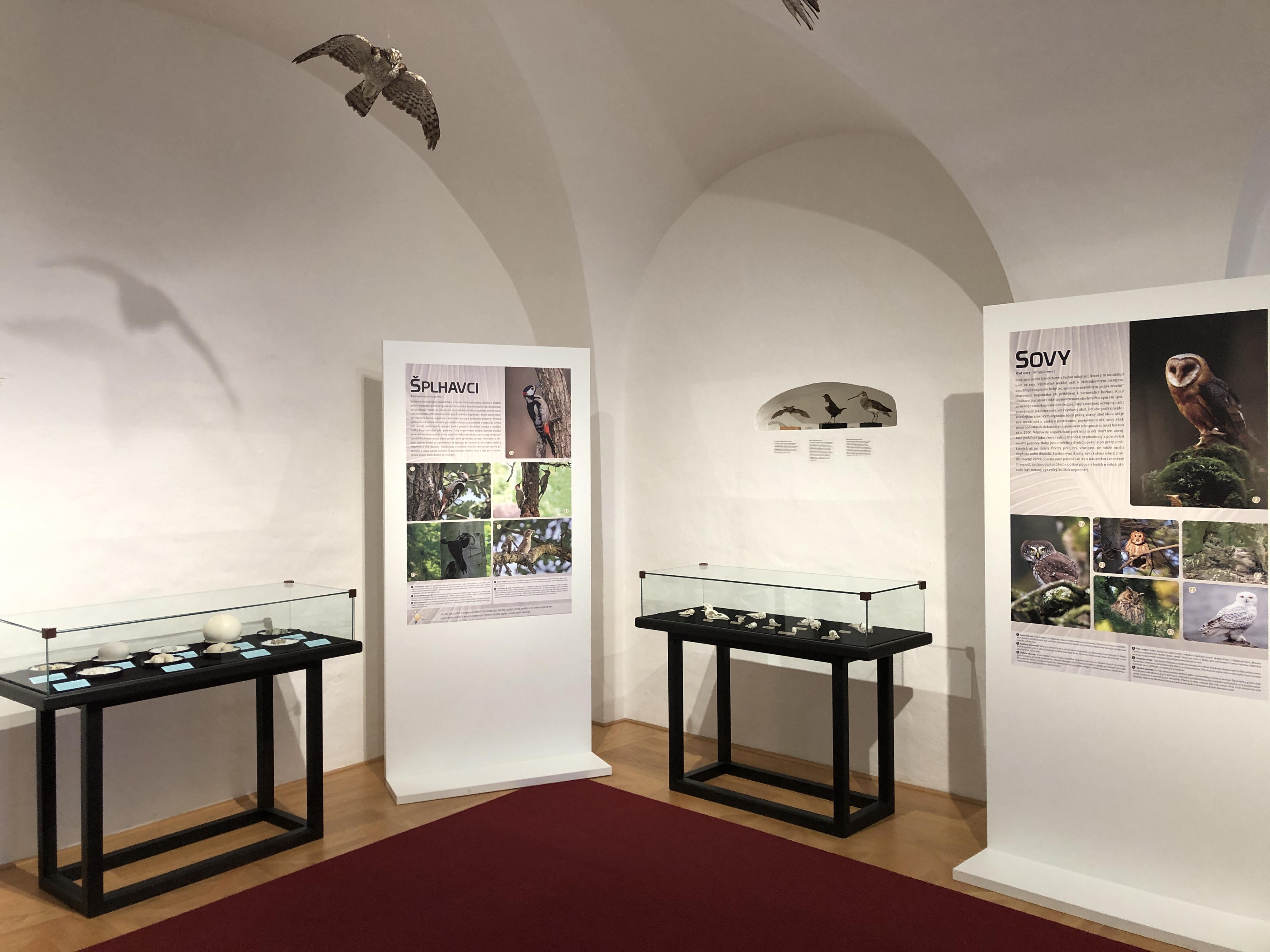 Muzeum řemesel Moravské Budějovice foto 2