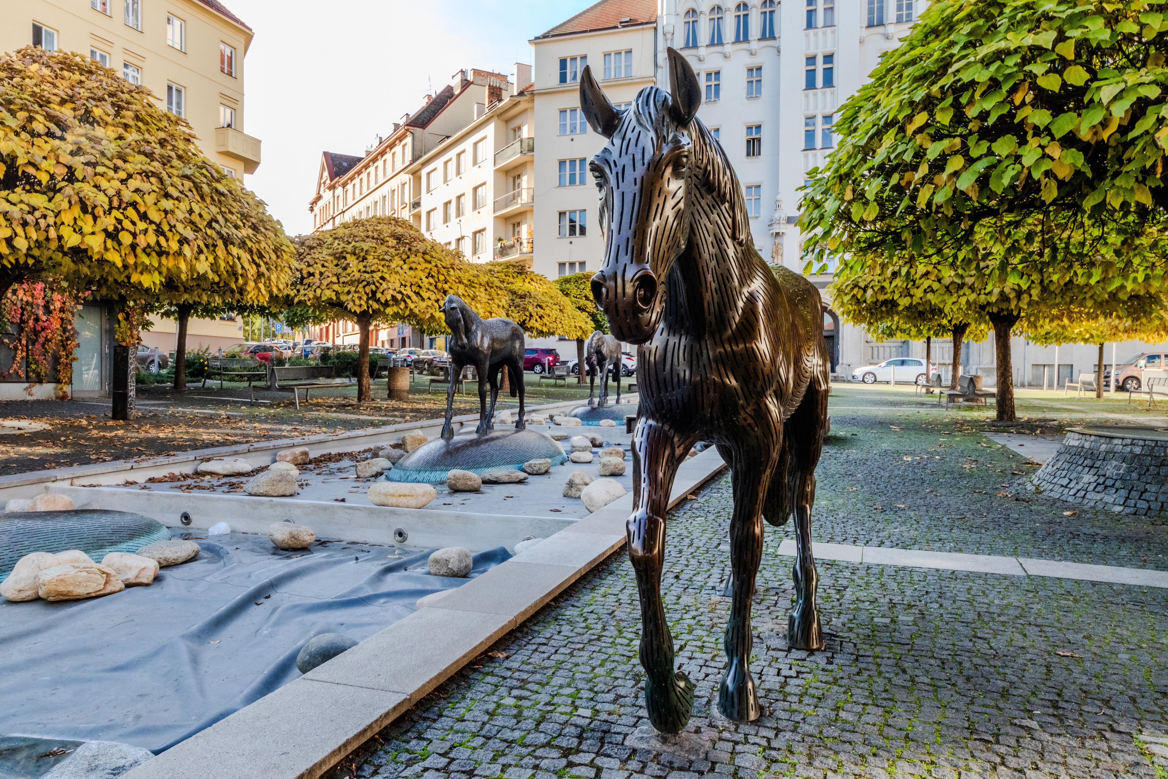 Vlastimil Raška realitní makléř RE/MAX ALFA foto 5