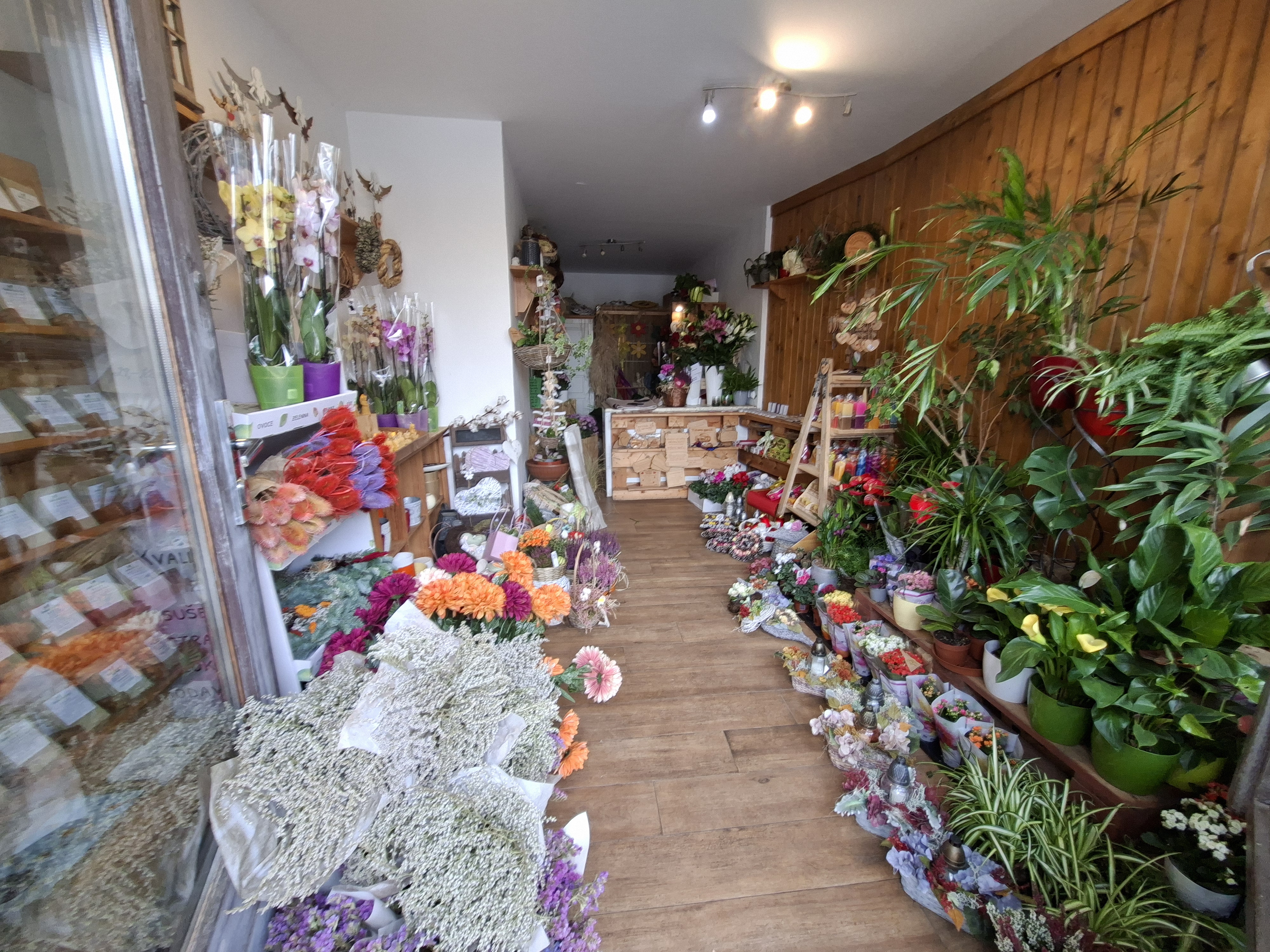 Andrea Nováková - Květinářství foto 5