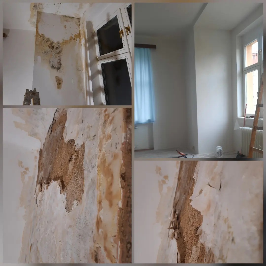 vymalovatbyt.cz foto 2