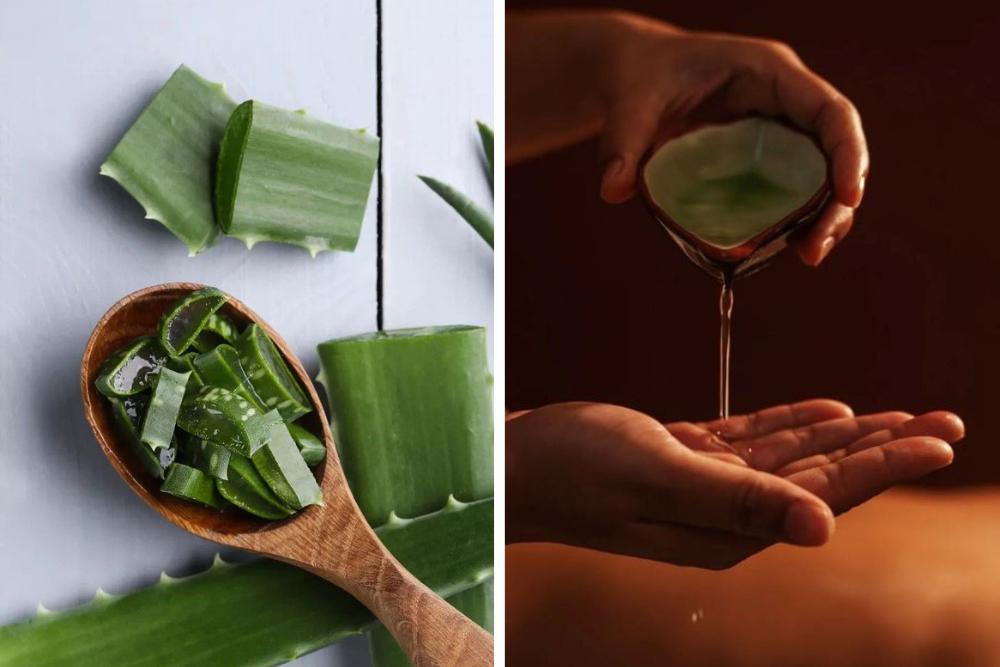 Aloe vera thajská masáž