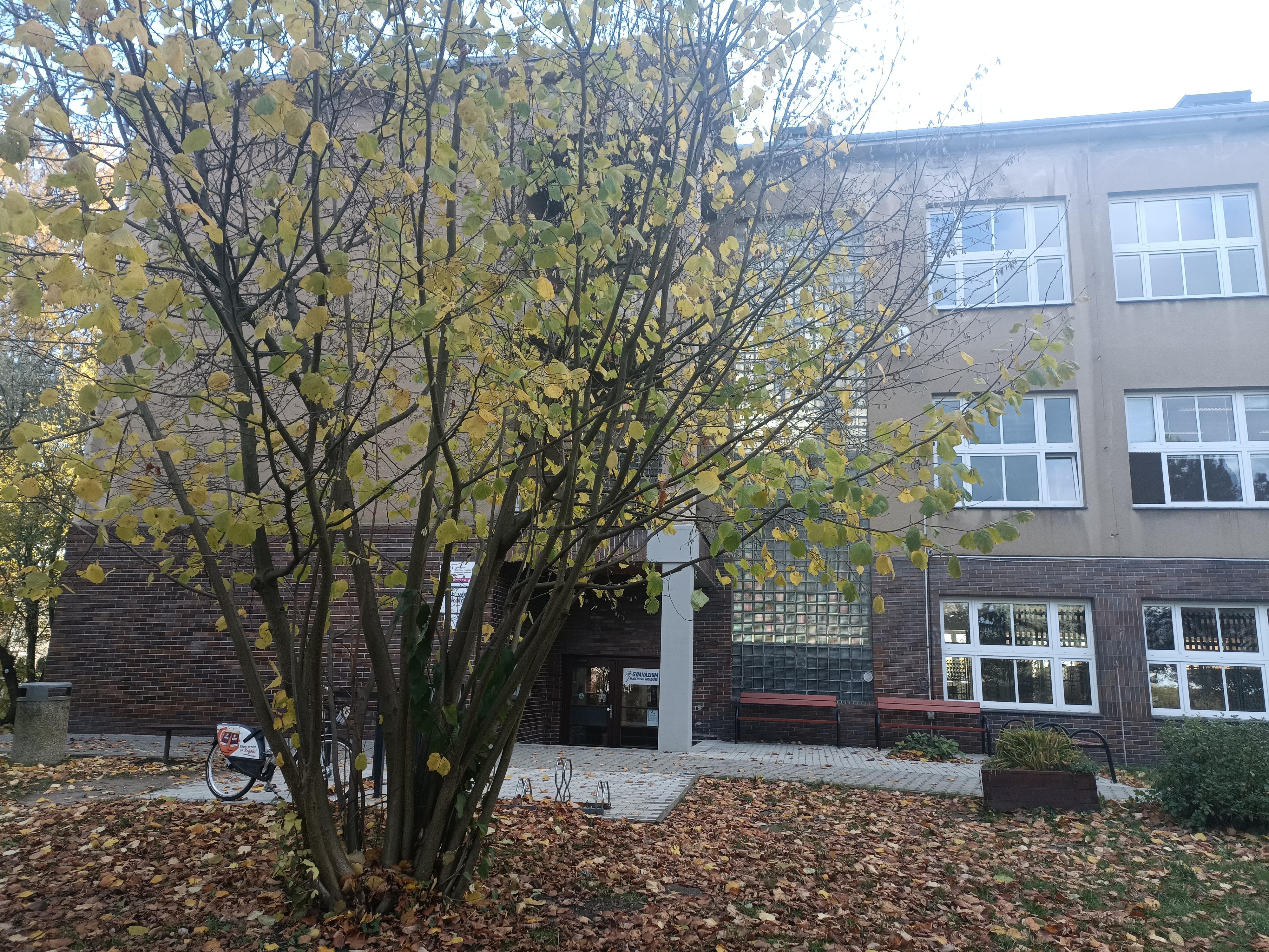 Gymnázium Mnichovo Hradiště