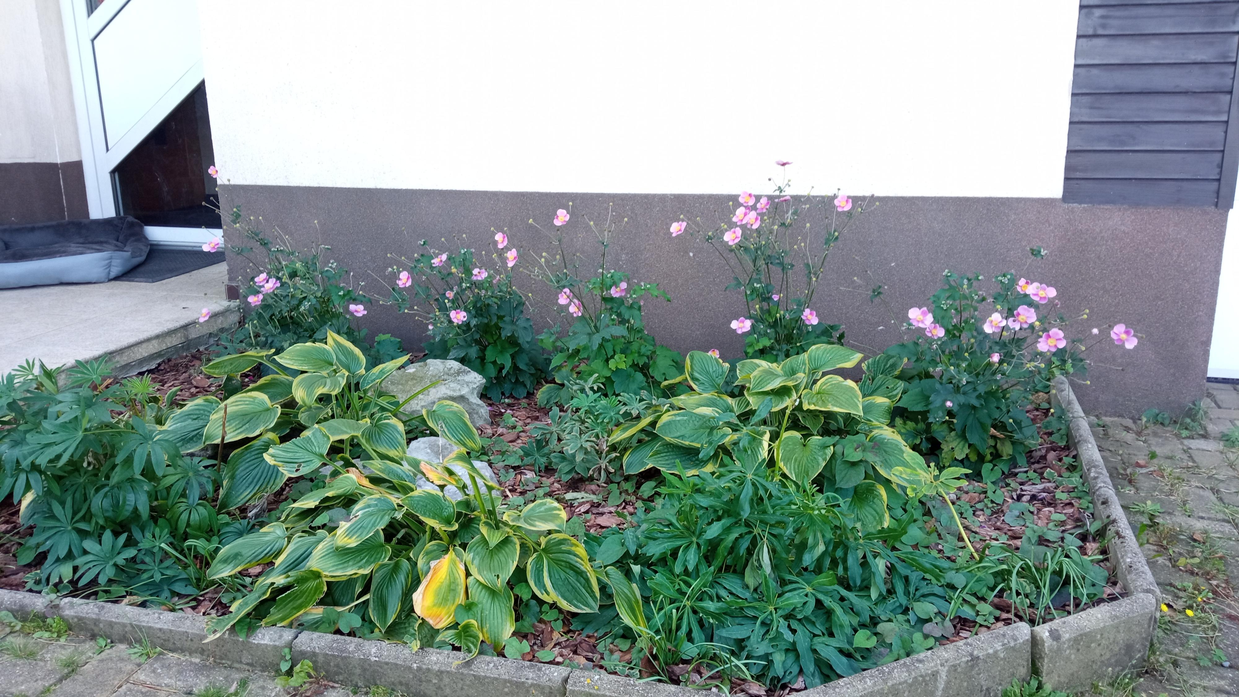 Zahrady na výsluní foto 2