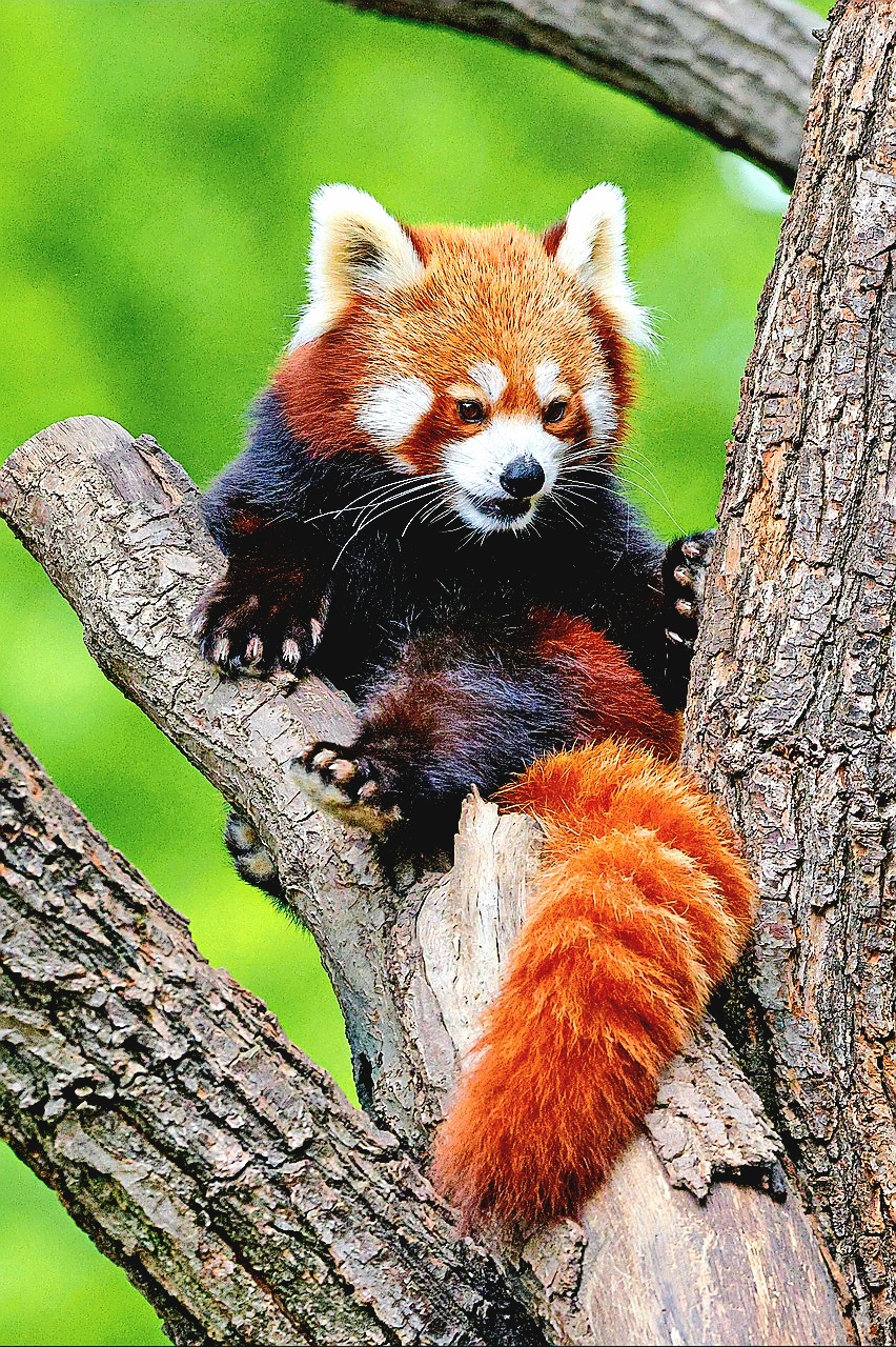 Zoo Praha foto 2