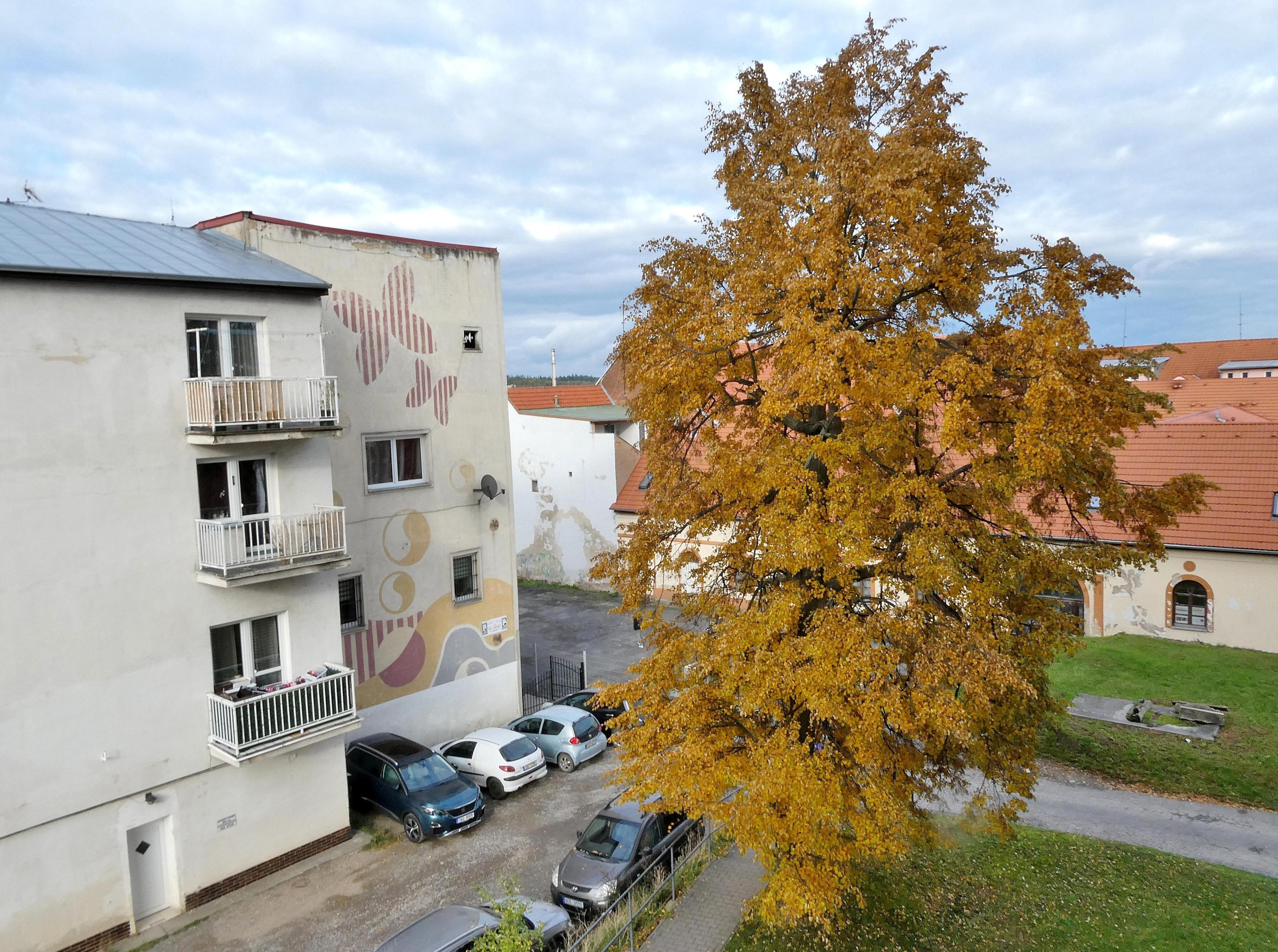 Čištění koberců - sběrna Špína Pryč POINT foto 5