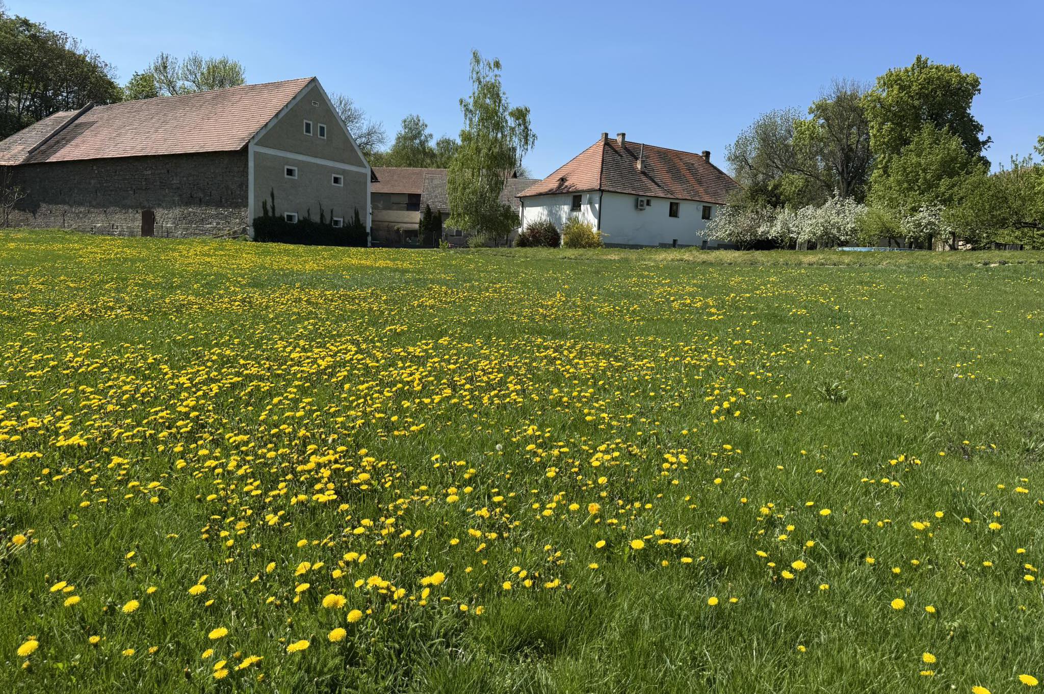 Statek Netovice- Buď beran