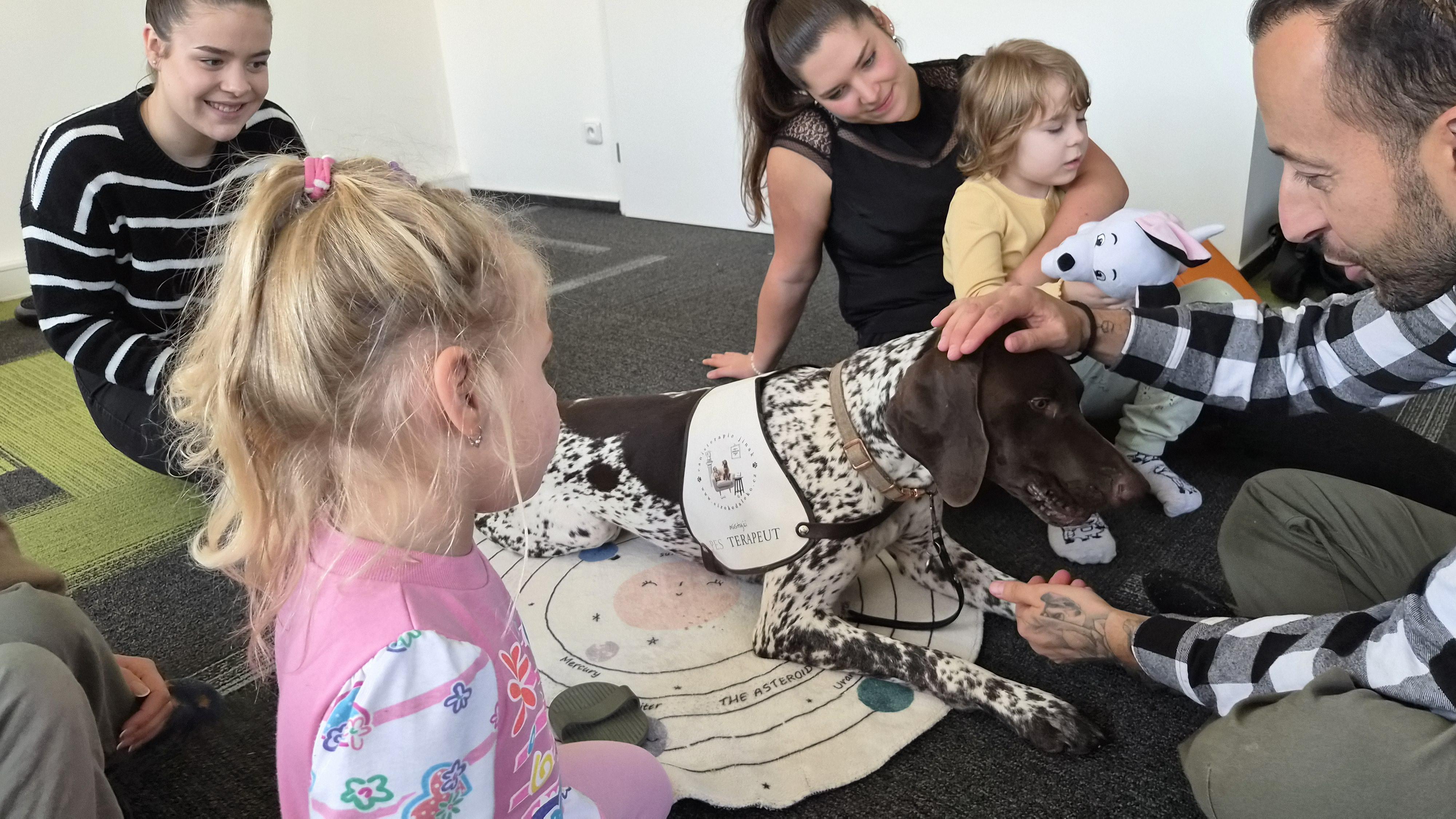 Mateřská škola KOŠÍK foto 4