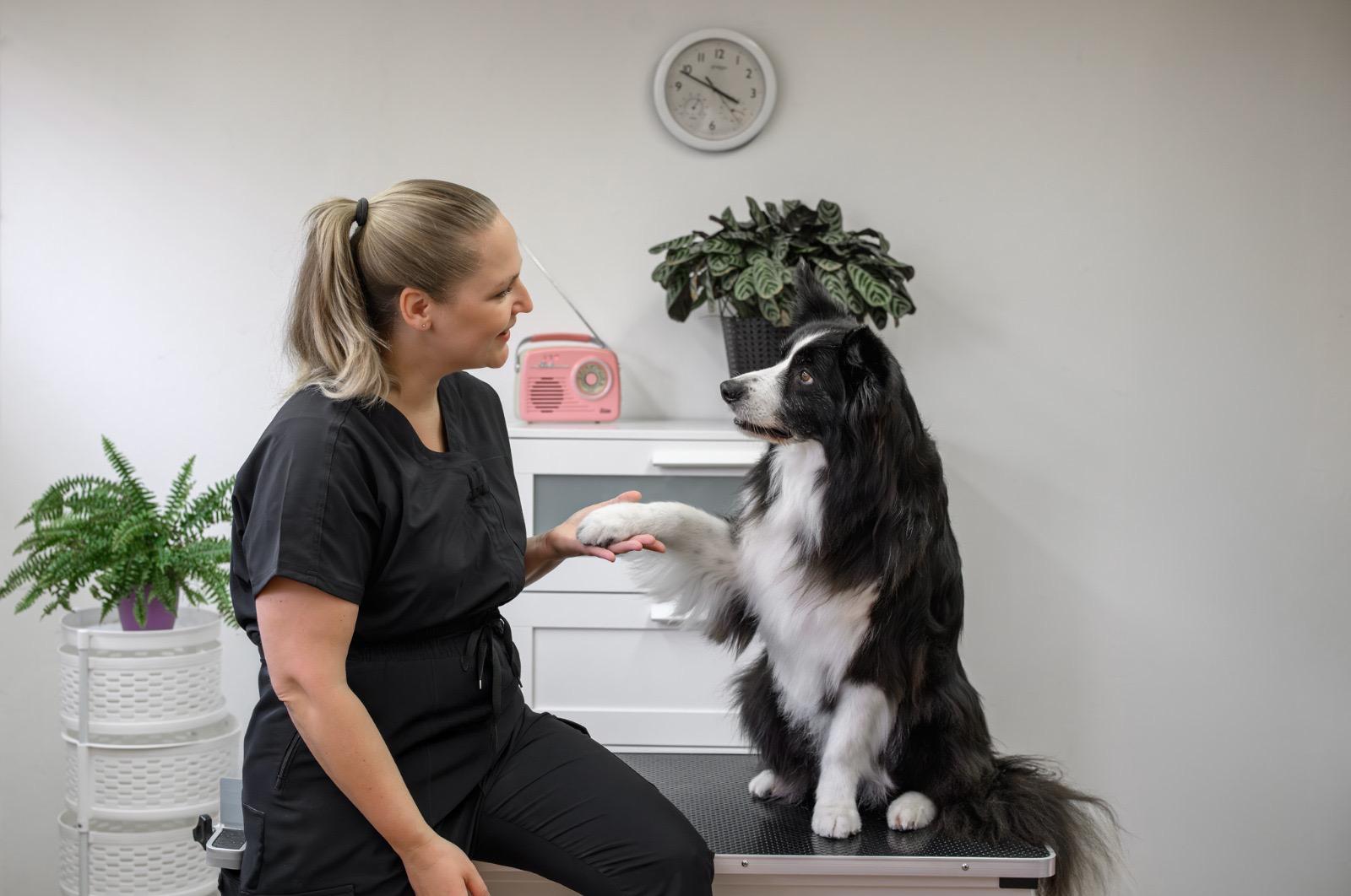 IVANKA stříhá psy