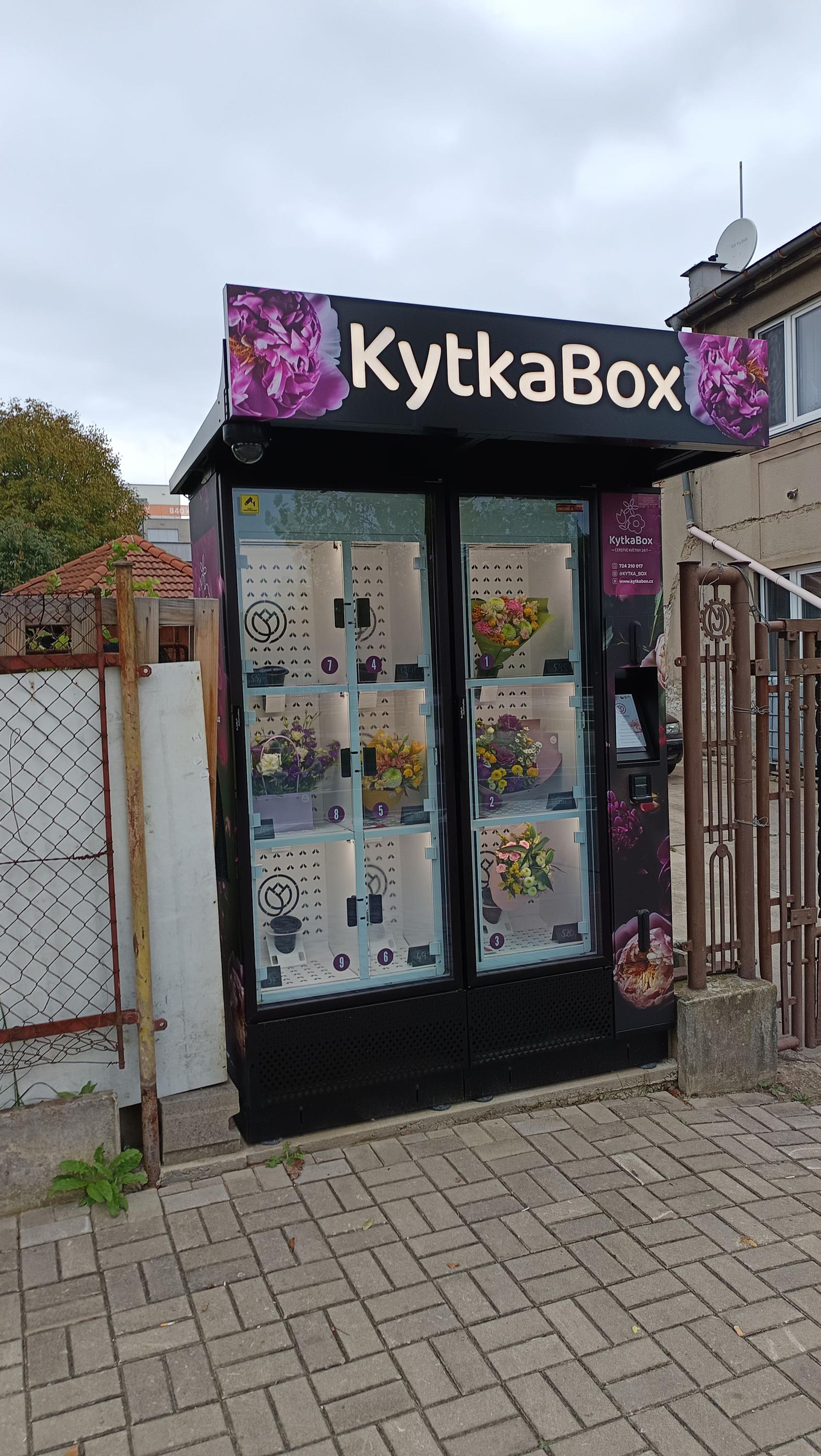 KytkaBox foto 2
