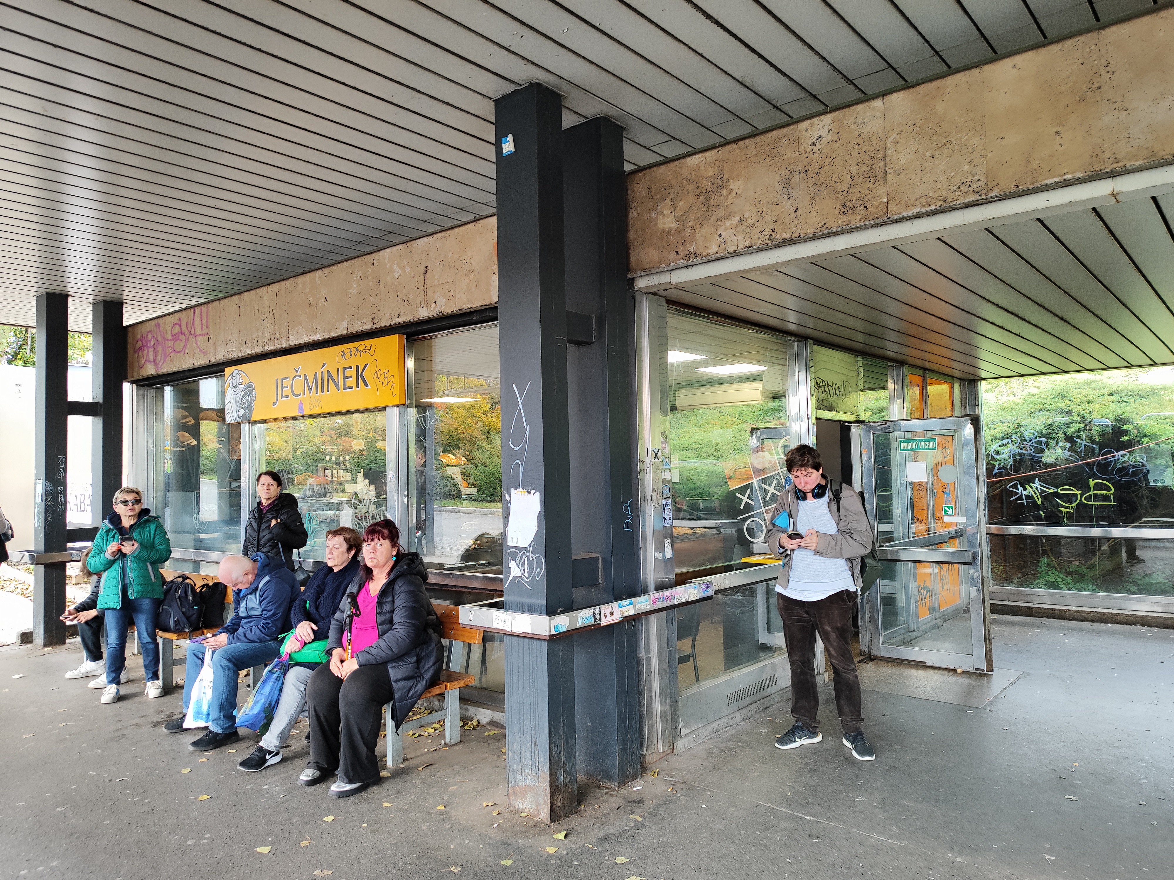 Ječmínek foto 3