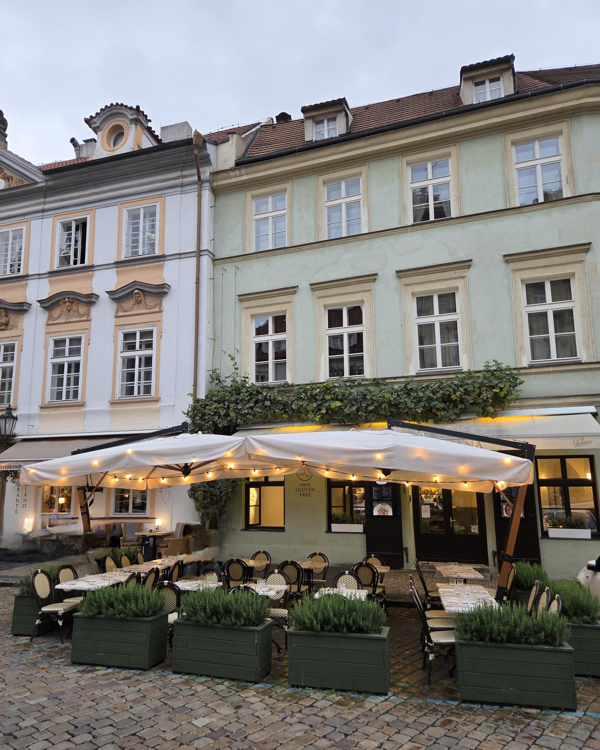 Ristorante Italiano OLIVA NERA foto 4