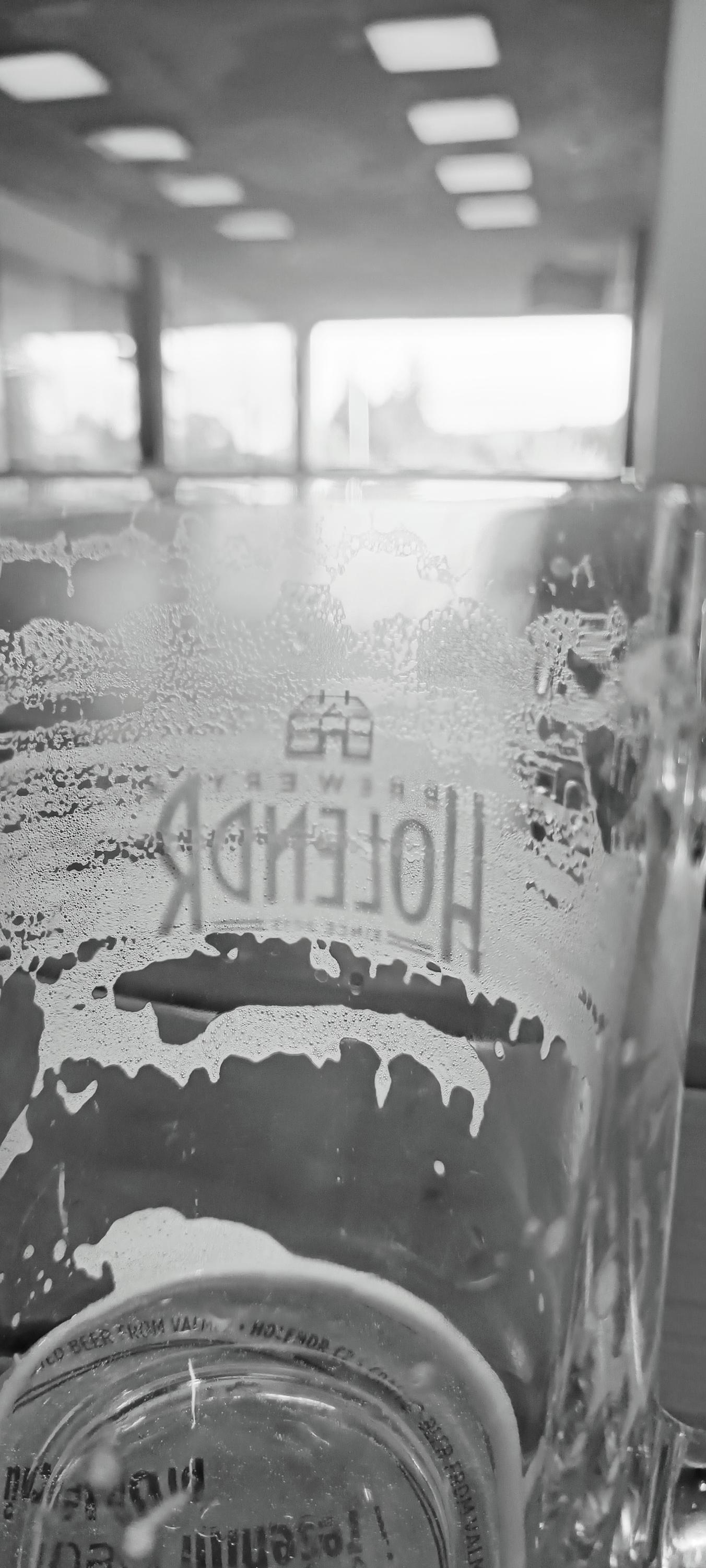 Chmelová šiška foto 2