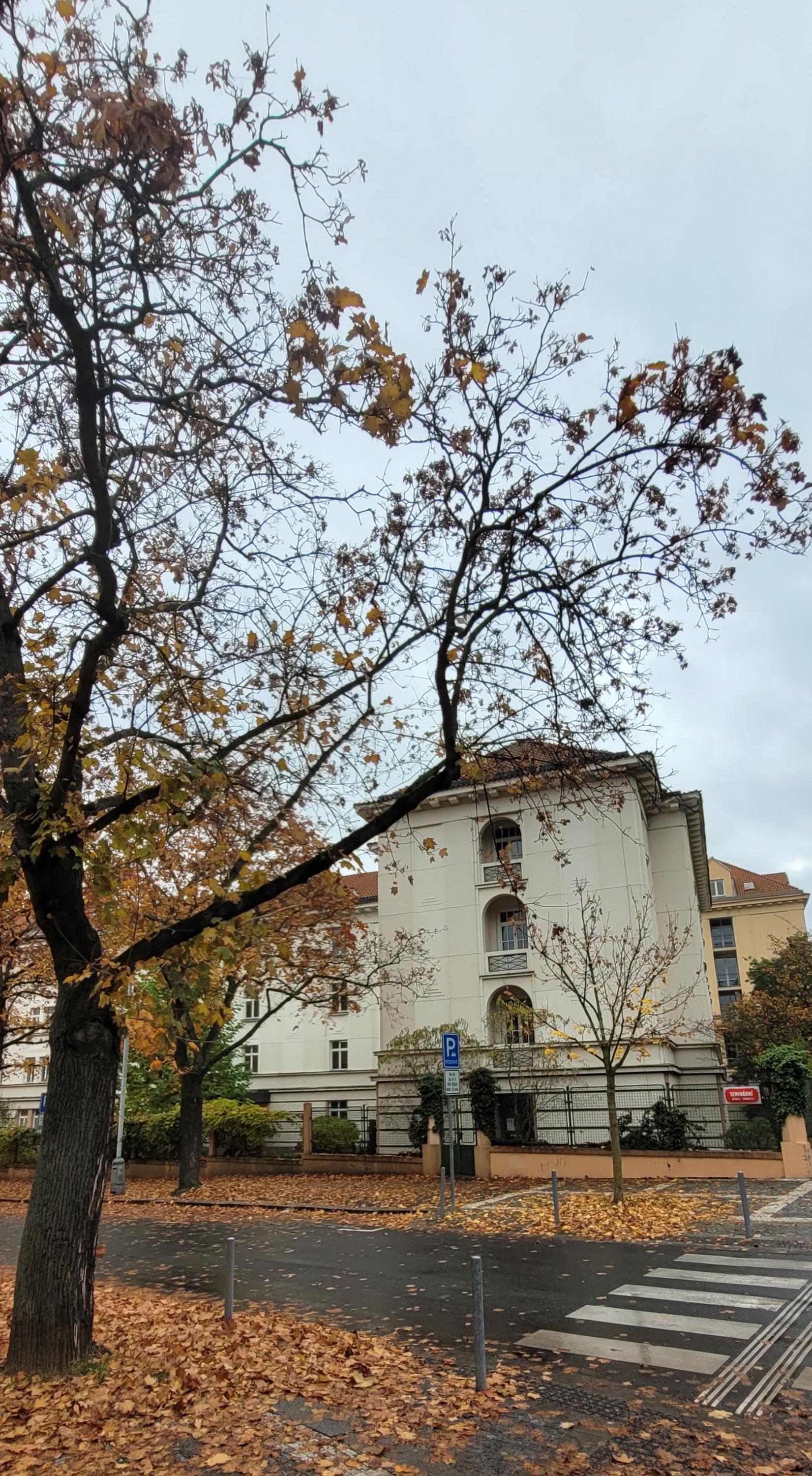 Katolická teologická fakulta - Univerzita Karlova foto 4
