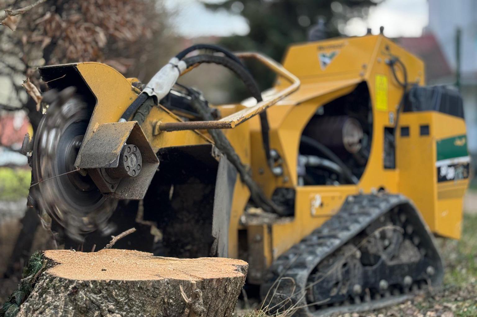 Výškové Kácení Ondřej Liebl