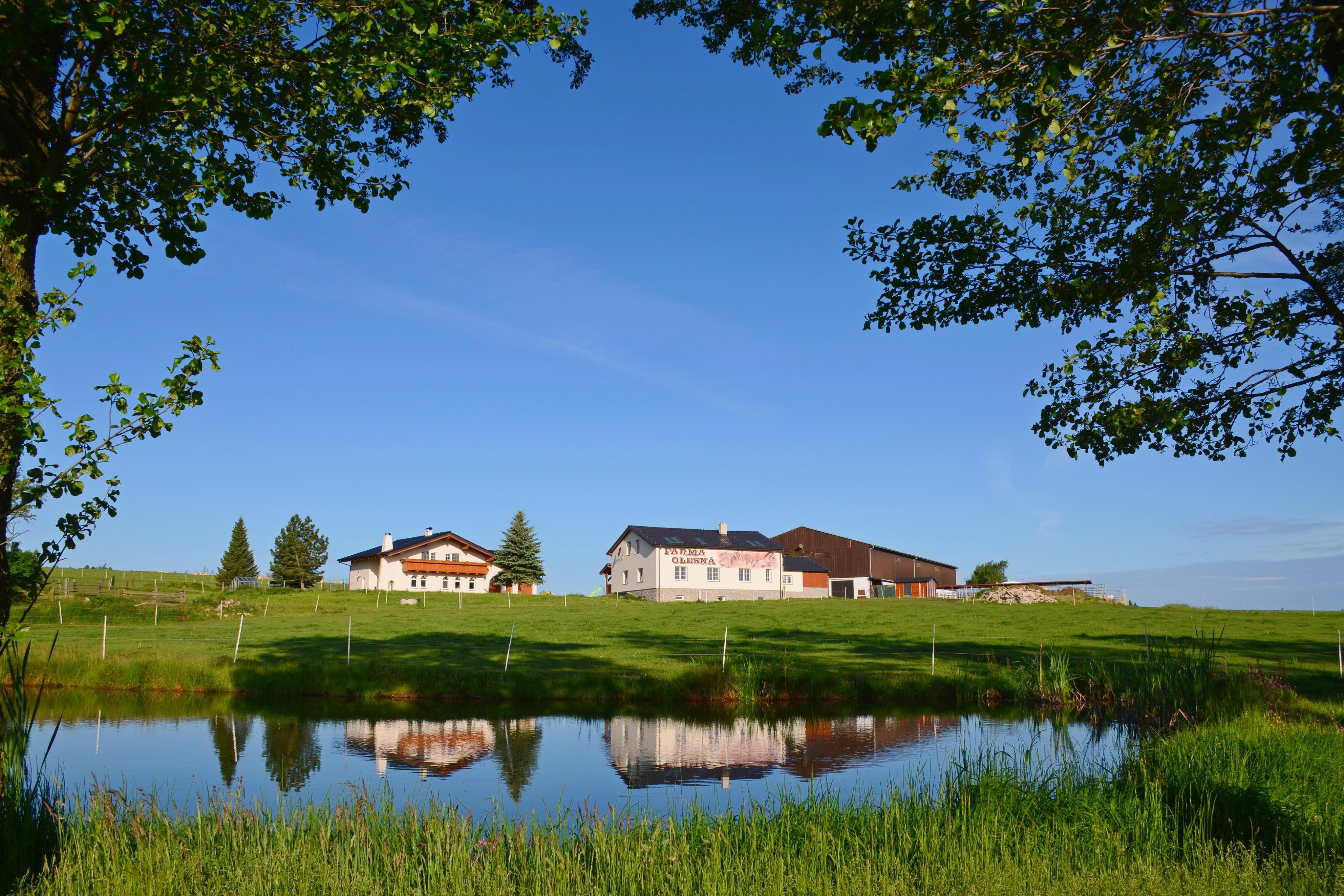 Farma Olešná Blonde Farm