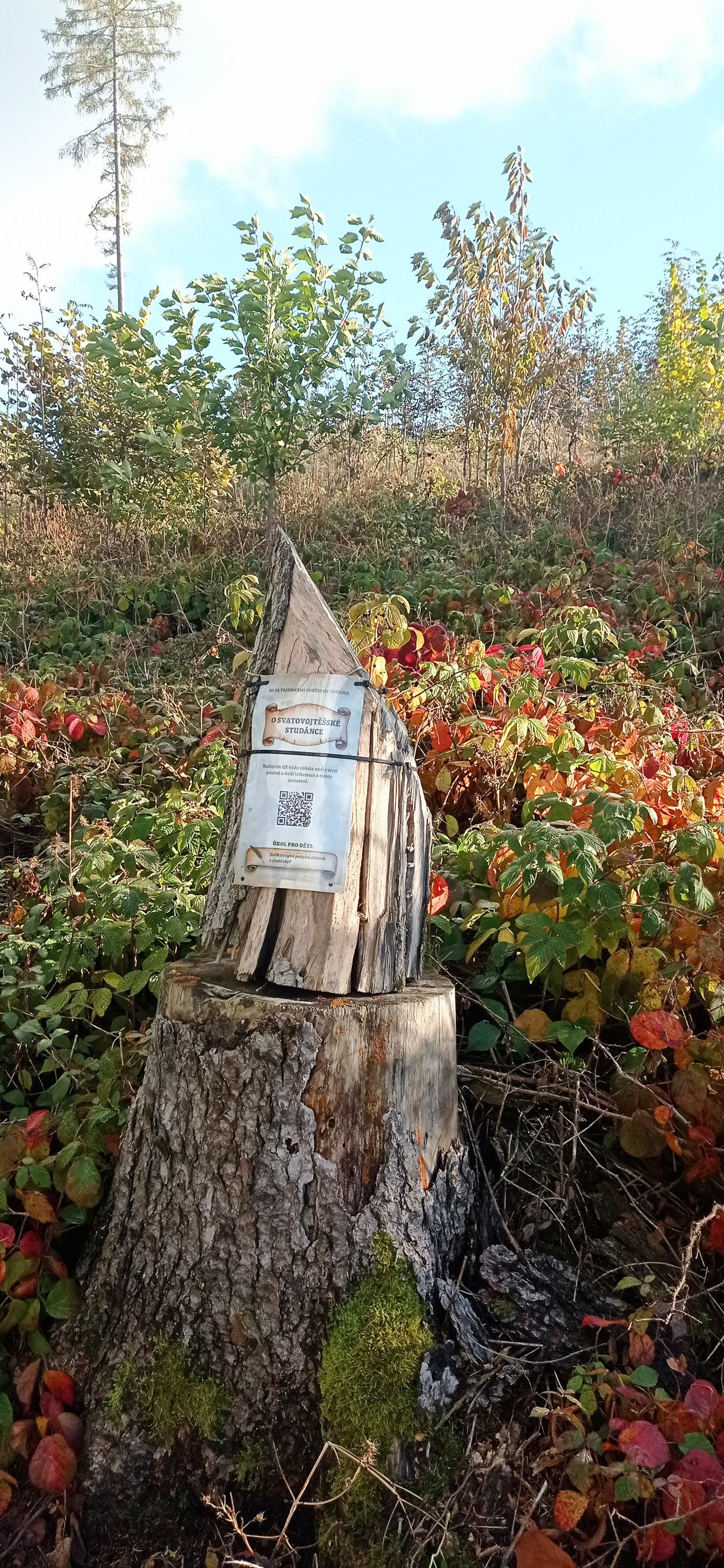 Lesní Osvěžovna foto 5