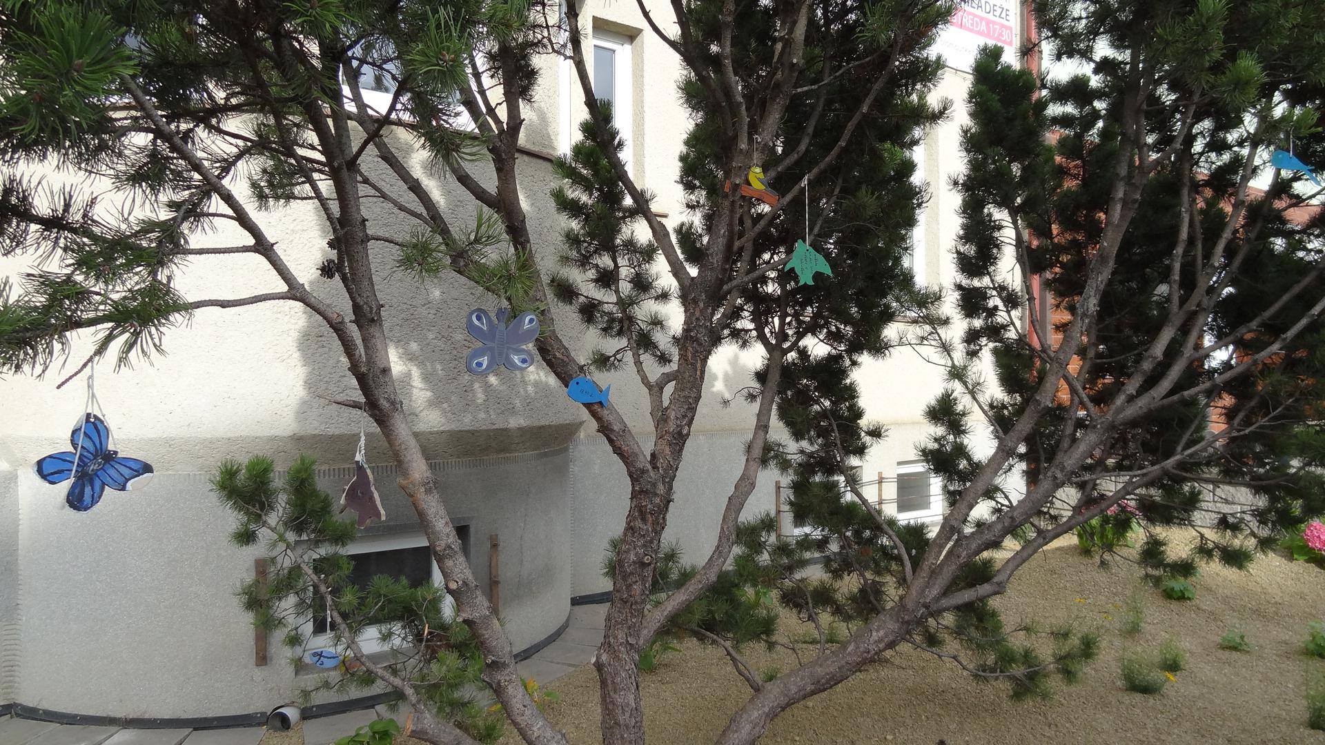 Sbor Církve adventistů sedmého dne Brno - Olomoucká foto 6