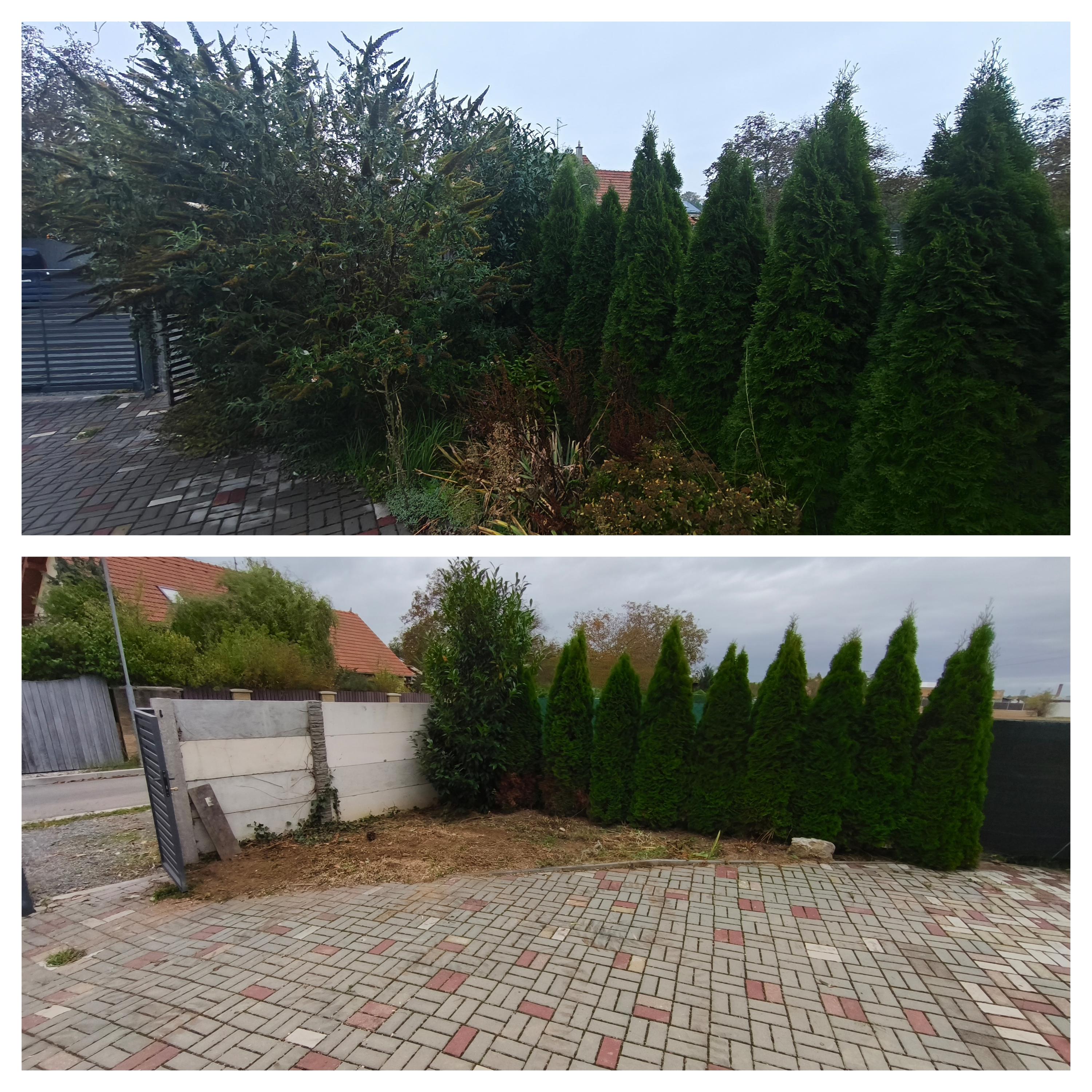 TrávníkářJM foto 3