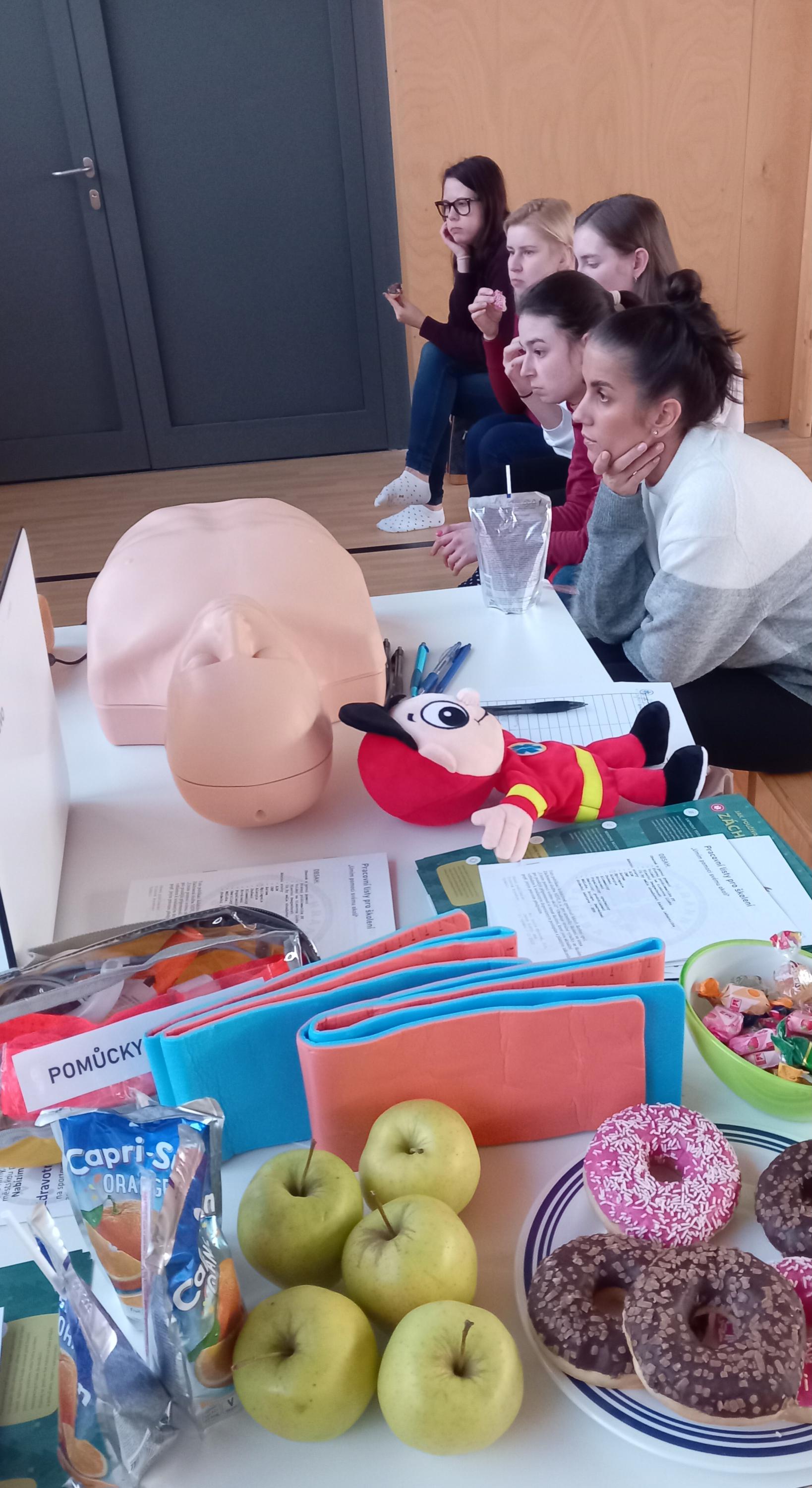 Záchranná služba MDT, z. s. foto 4