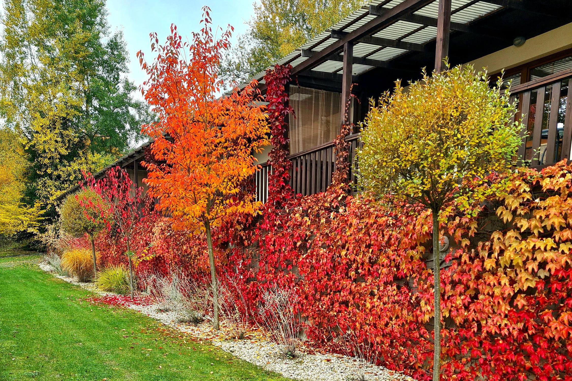 Resort Lesní Lázně Zvánovice