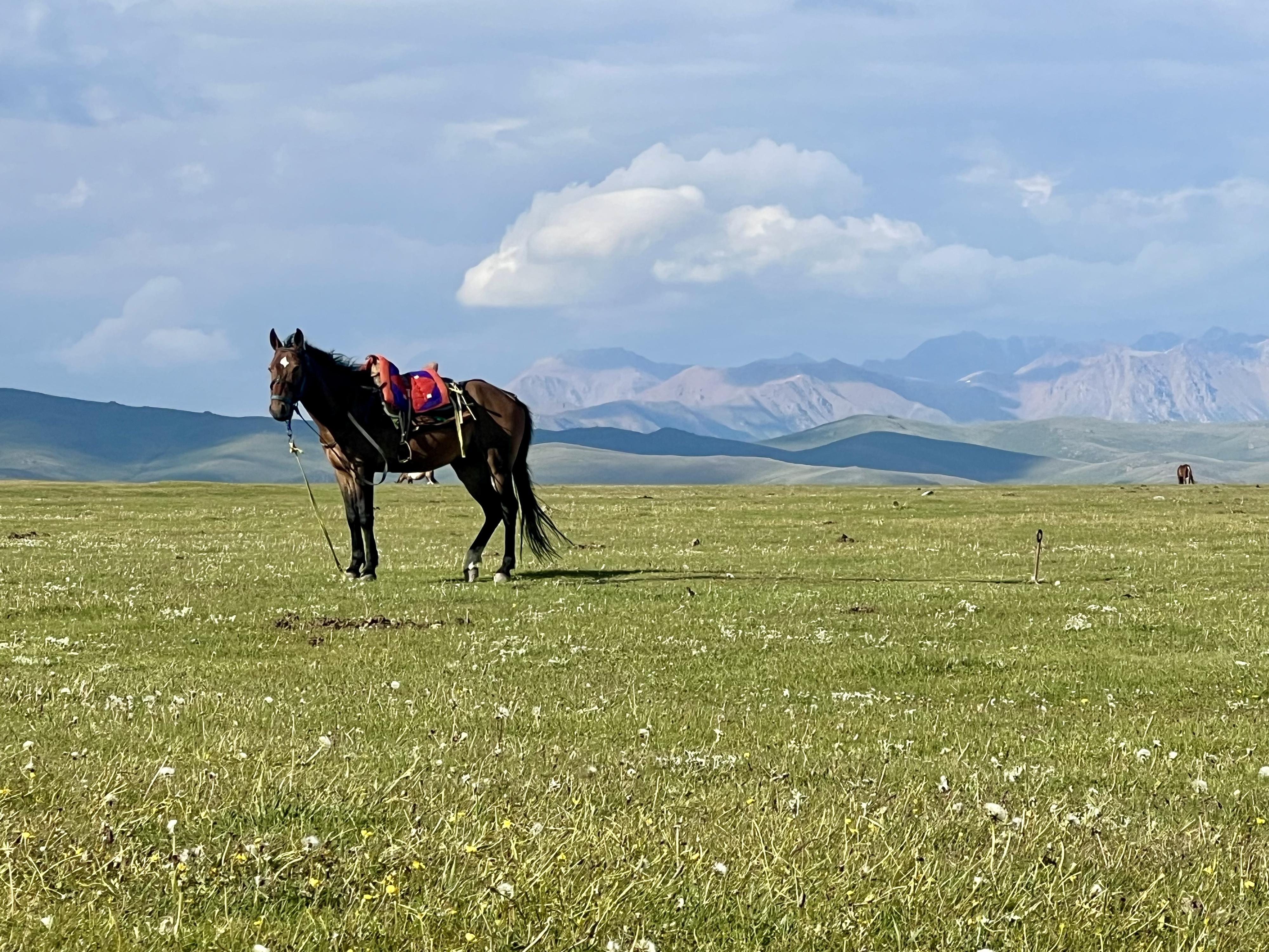 Horsemenistan foto 2