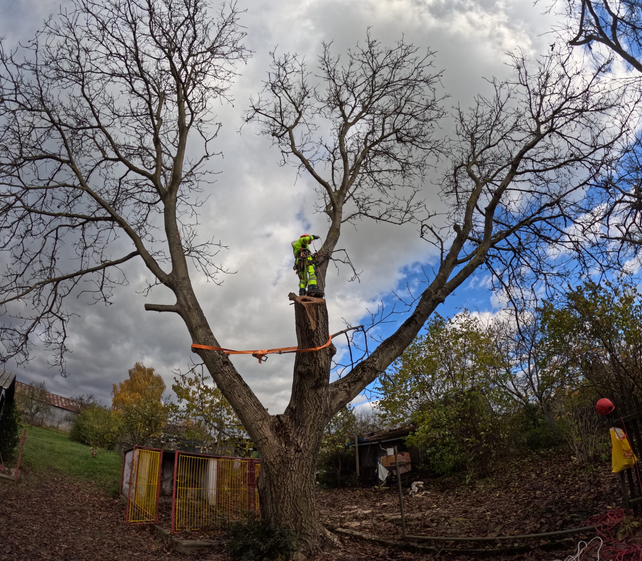 Ledvajs - Arboristika a Výškové práce foto 4