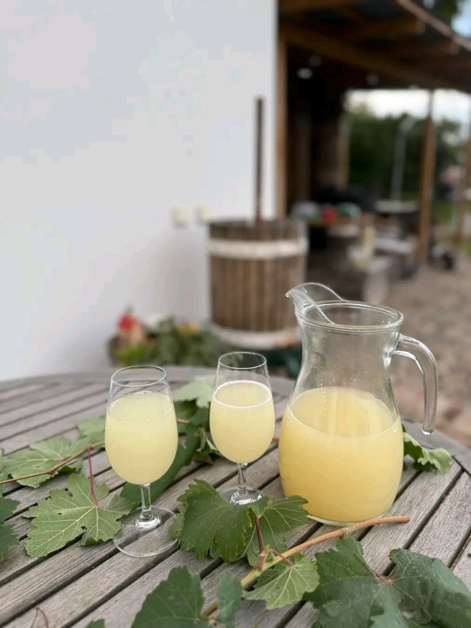 Vinotéka Skalka foto 2