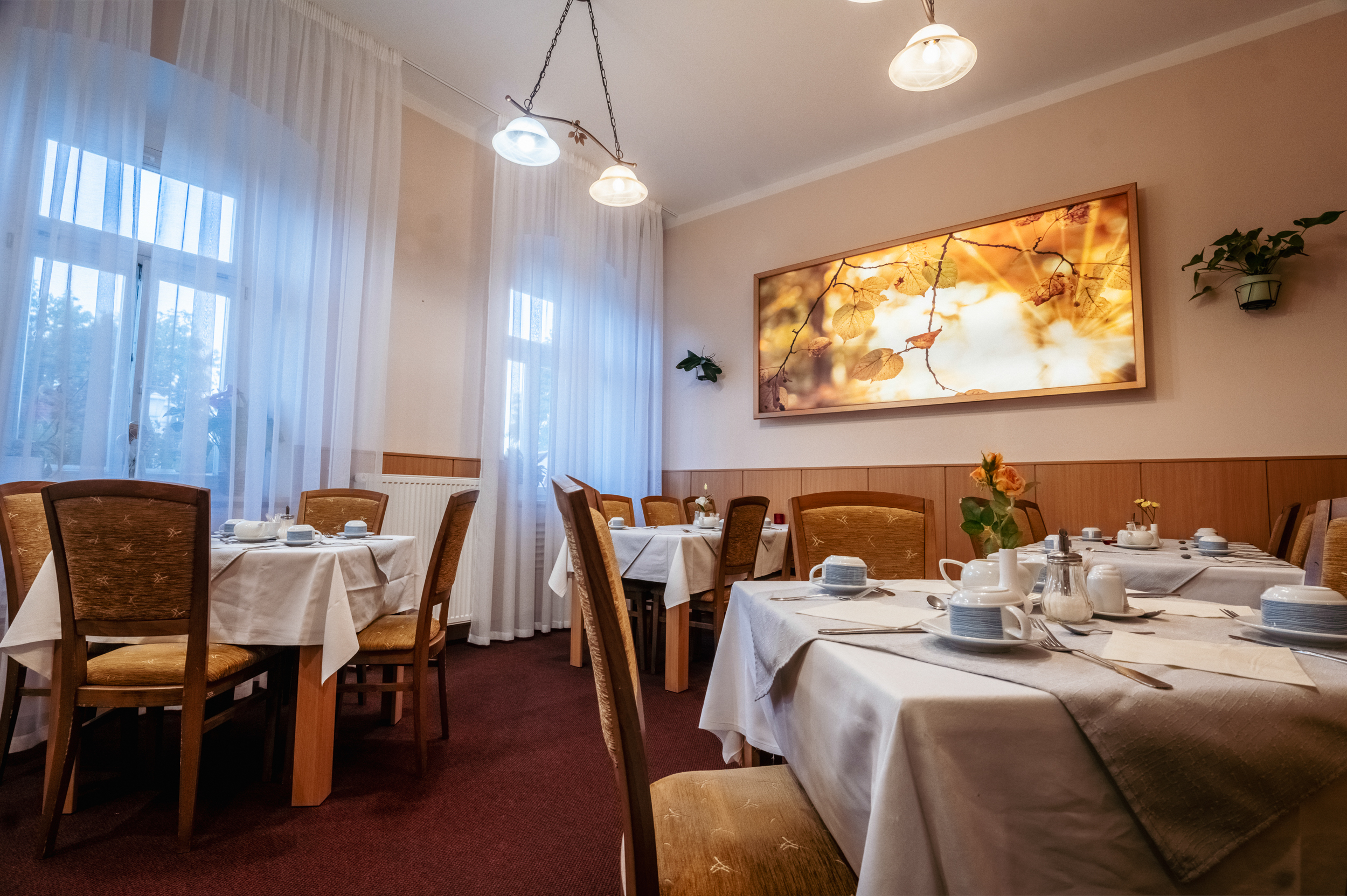 Lázeňský dům PARIS foto 2